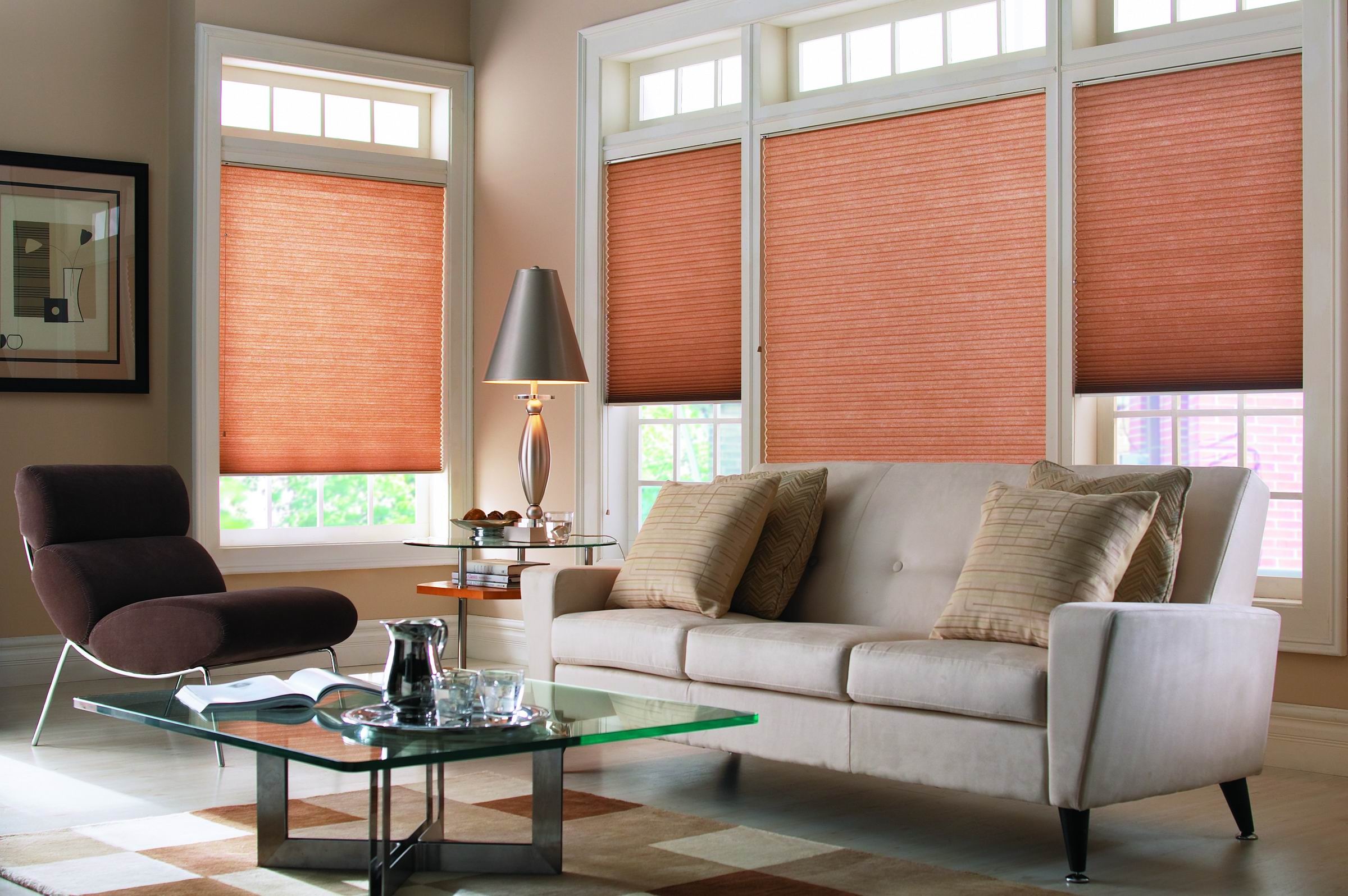 Cellular Shades 1.jpg