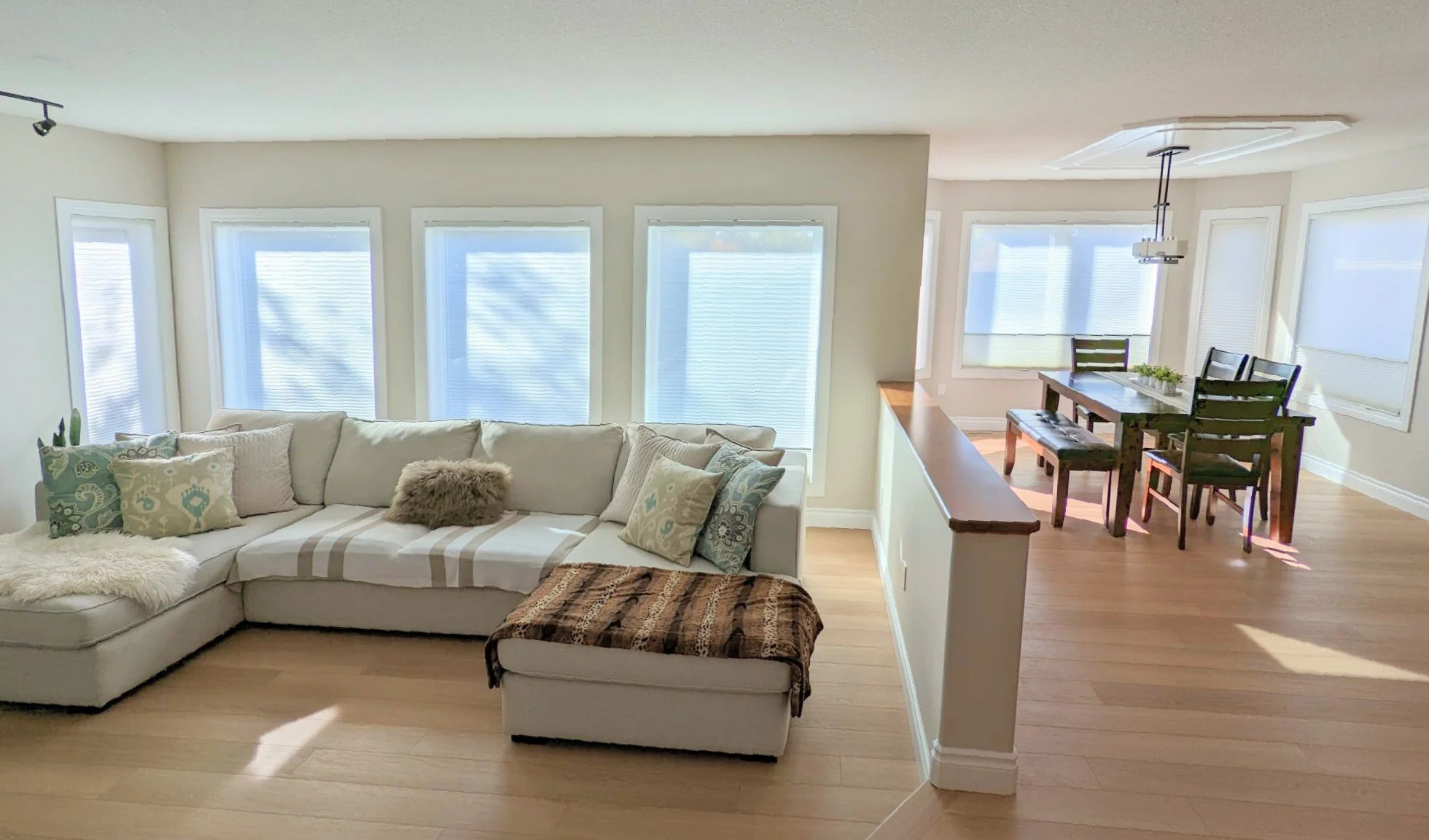 Cellular Shades, Lloydminster Blinds, Automation, Dawn To Dusk, Hunter Douglas, Alta Window Fashions, Blind Budget, Shade Custom Made