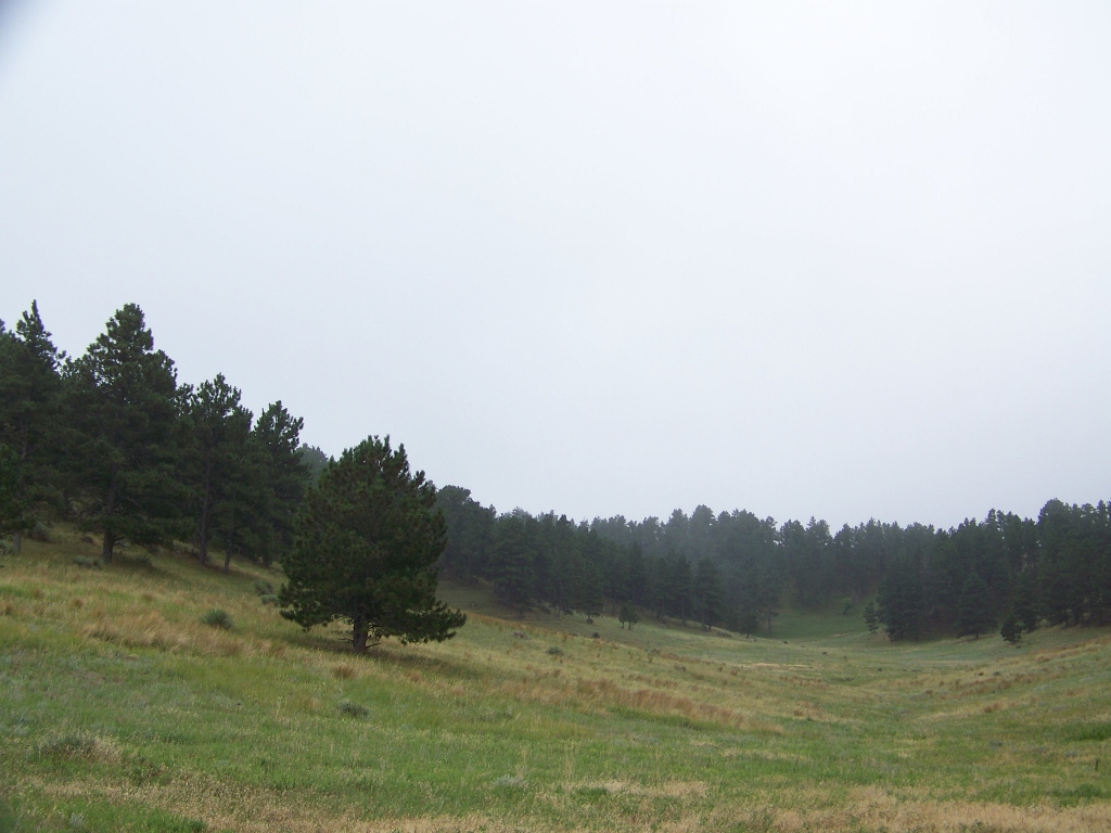 100_9785 (1024x768).jpg