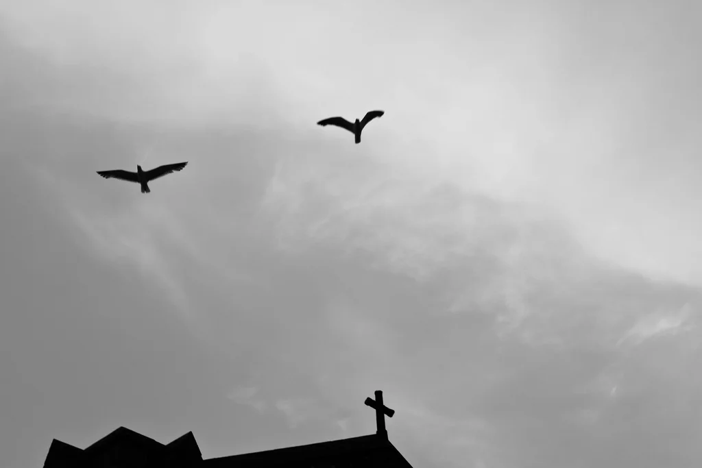 birds & cross.jpg