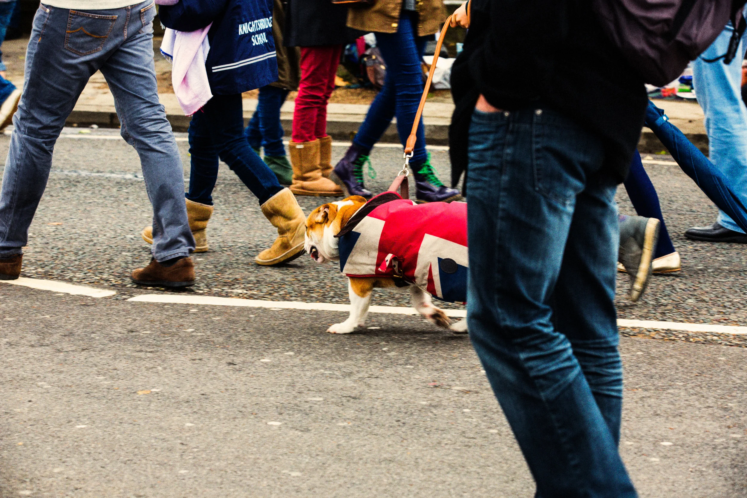 FIG_7171-Edit.jpg