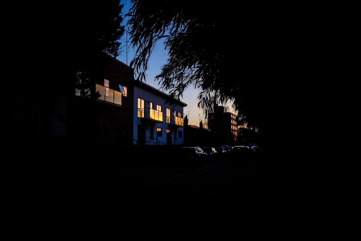 golden hour....jpg