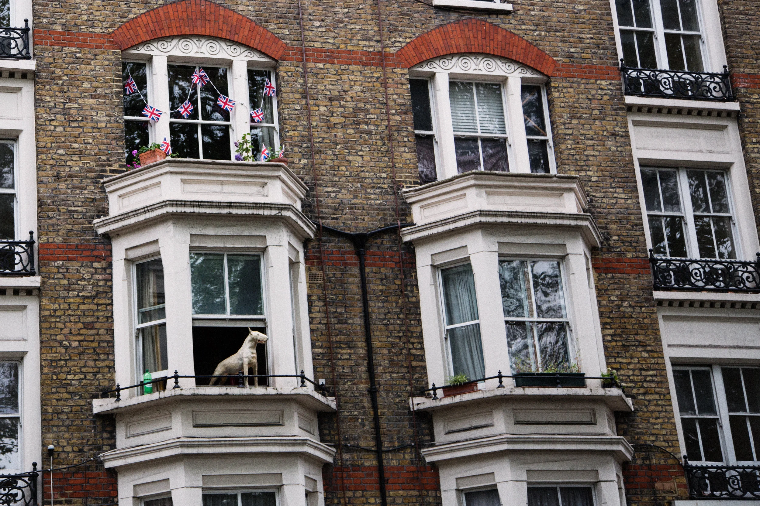FIG_7103-Edit.jpg