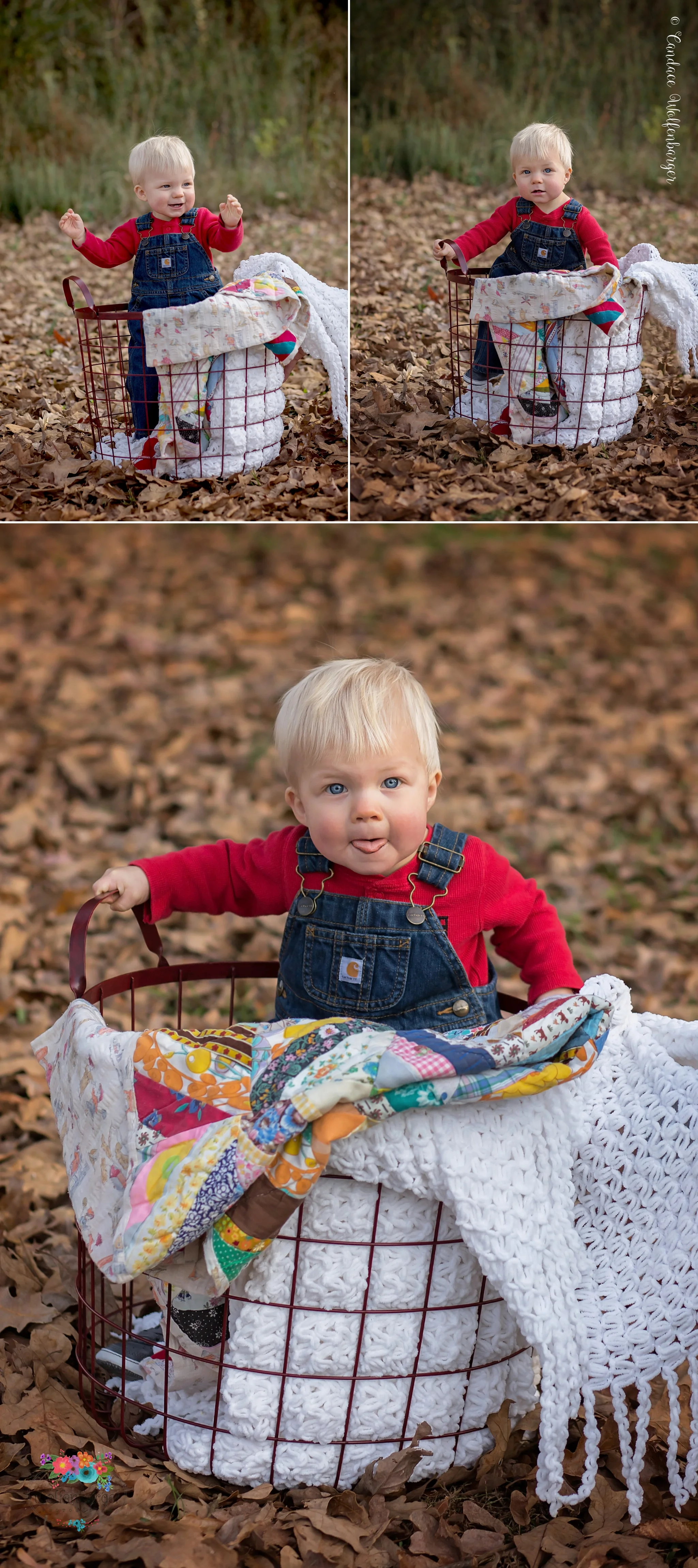 buchanan-blog-collage-12.jpg