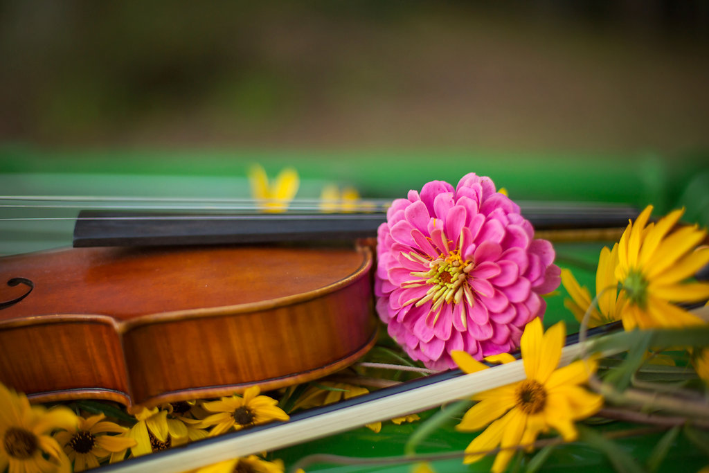 CANDACEWOLFENBARHER-HIGHSCHOOLSENRIORPHOTOGRAPHY-PINEHURSTNC-SANFORDNC-DURHNC-AMRALEIGHNC (129).jpg