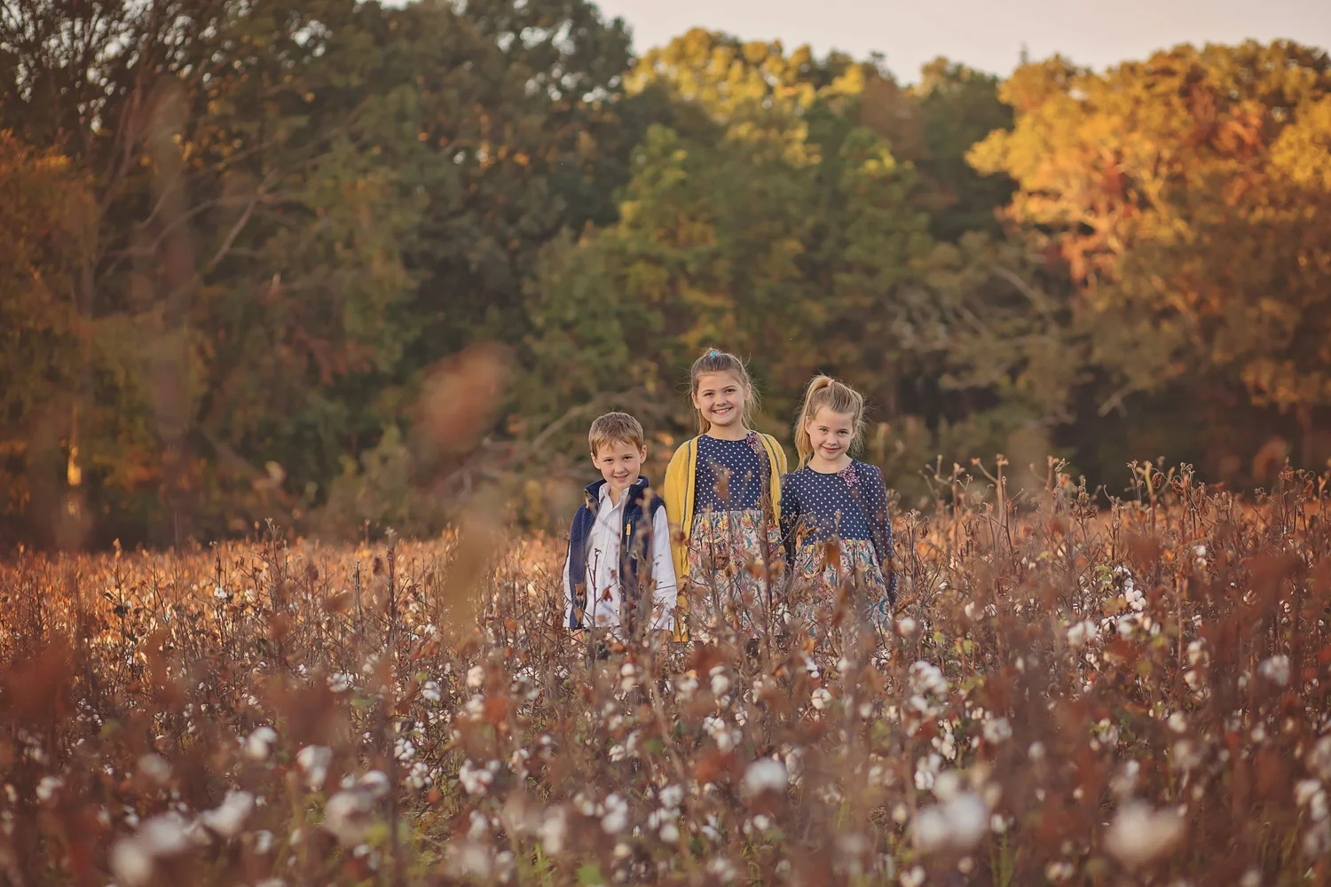 Kids in cotton field siblings