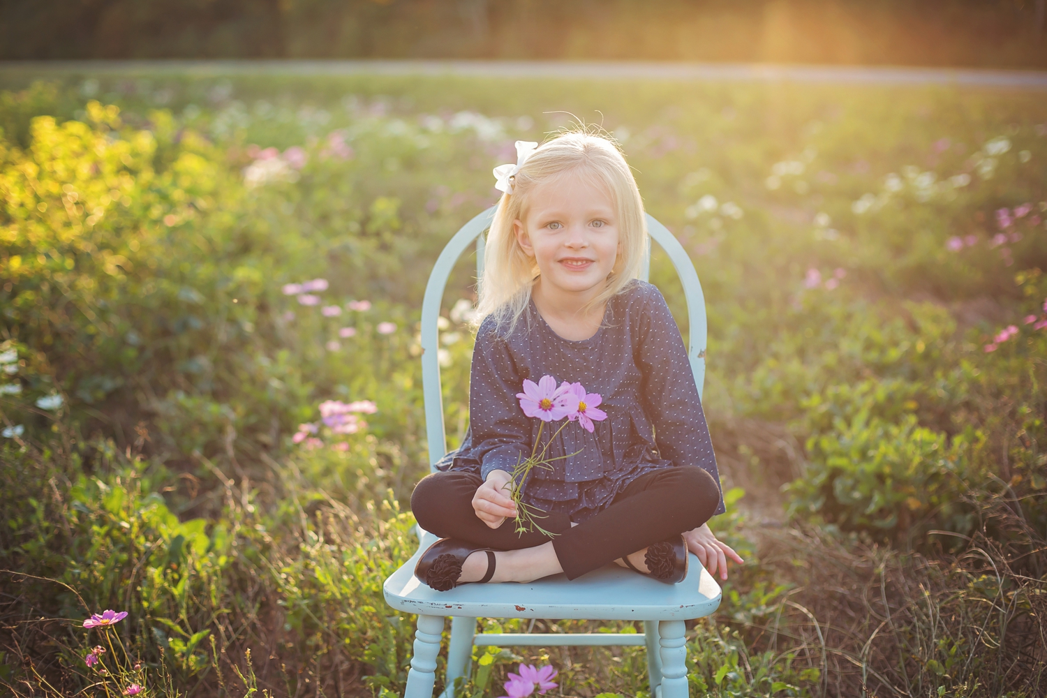 September evening in field of wildflowers