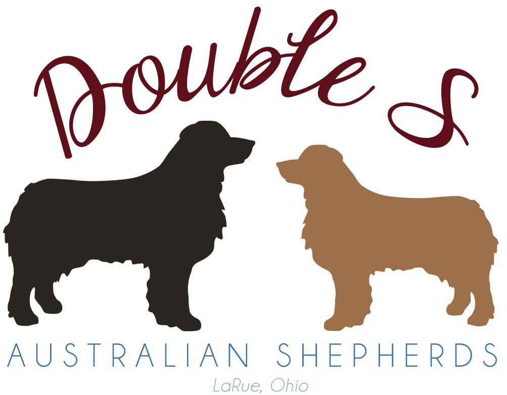 Double S Australian Shepherds