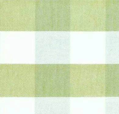 Foxy Plaid | Kiwi