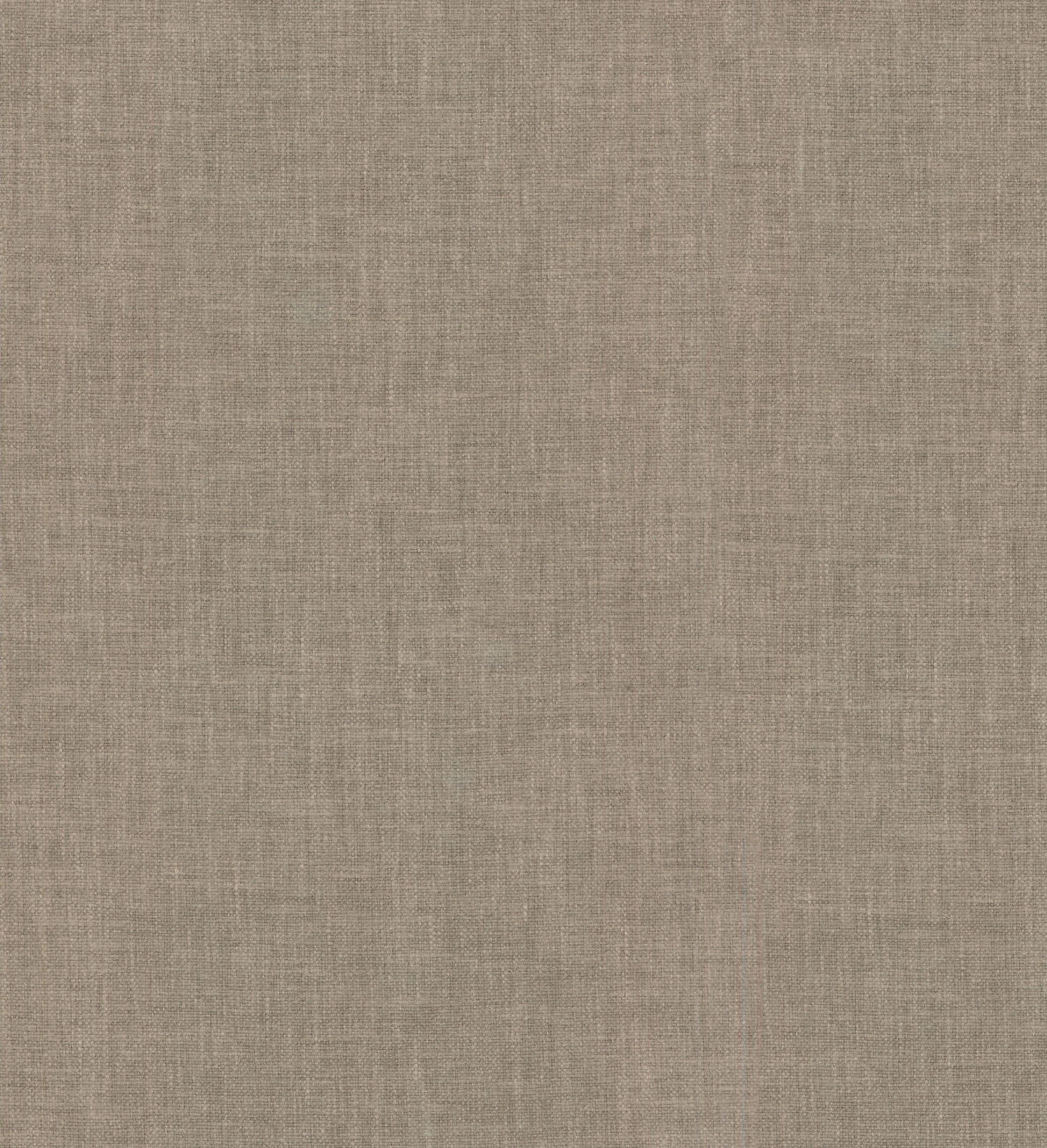 Companion | Limestone