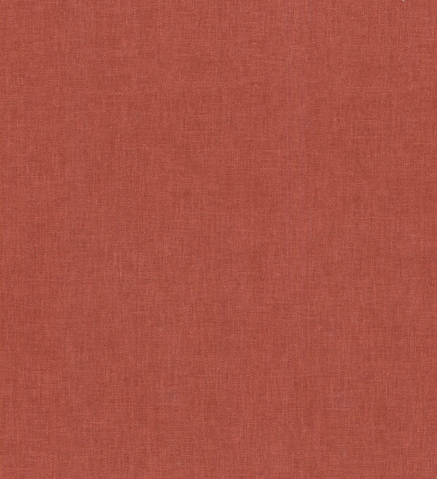 Companion | Spice