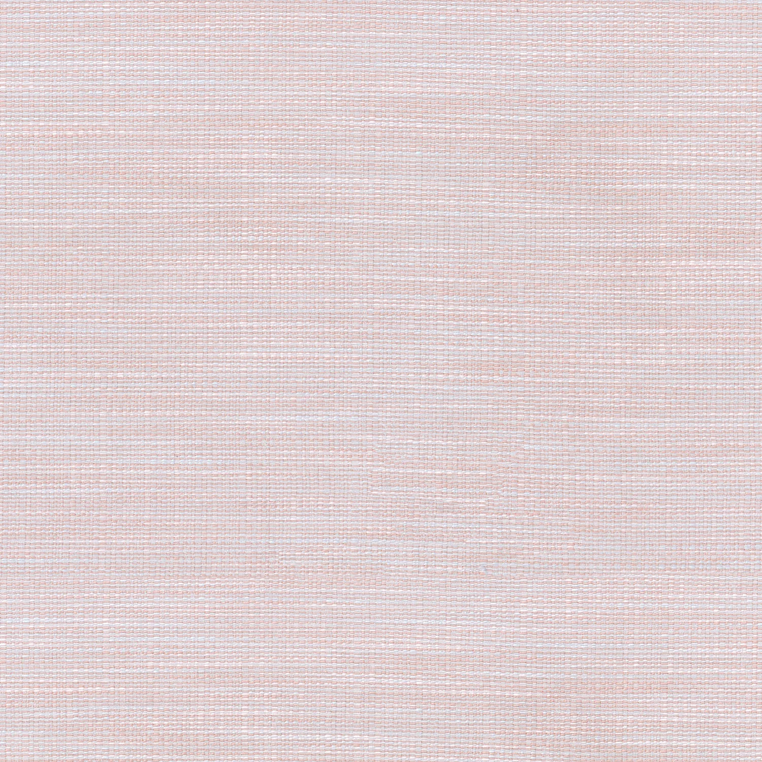 Dapper | Blush