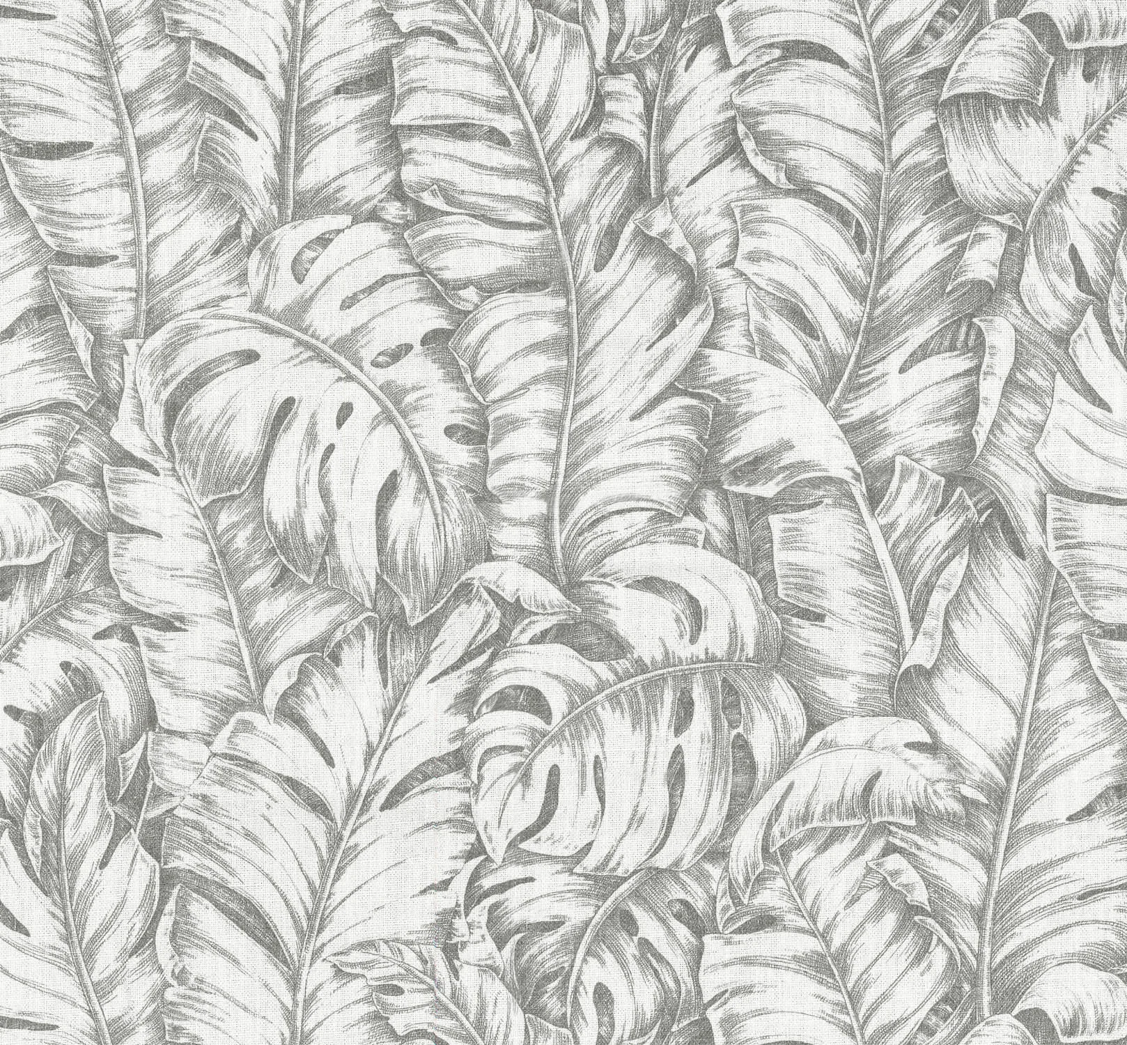 Jungle | Parchment