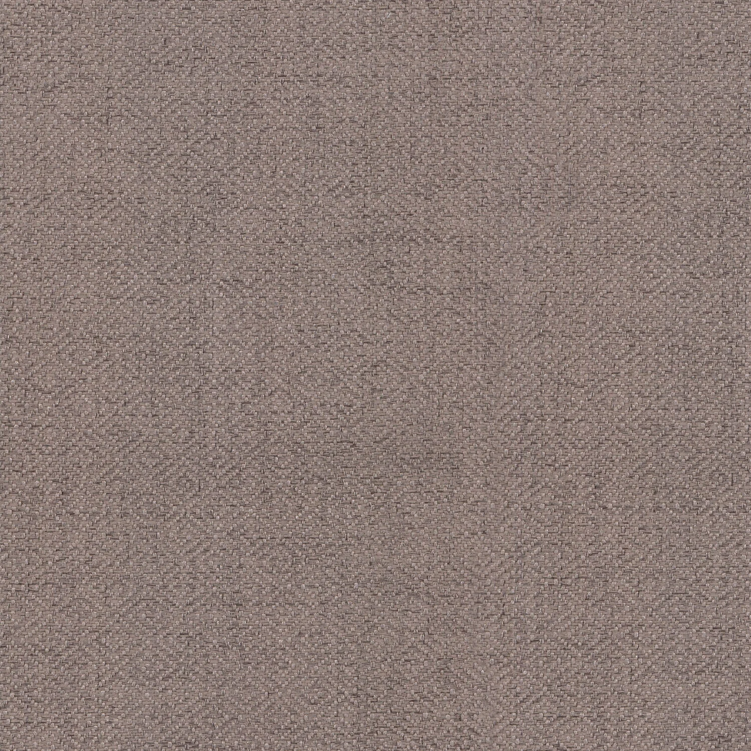 Tennya | Charcoal