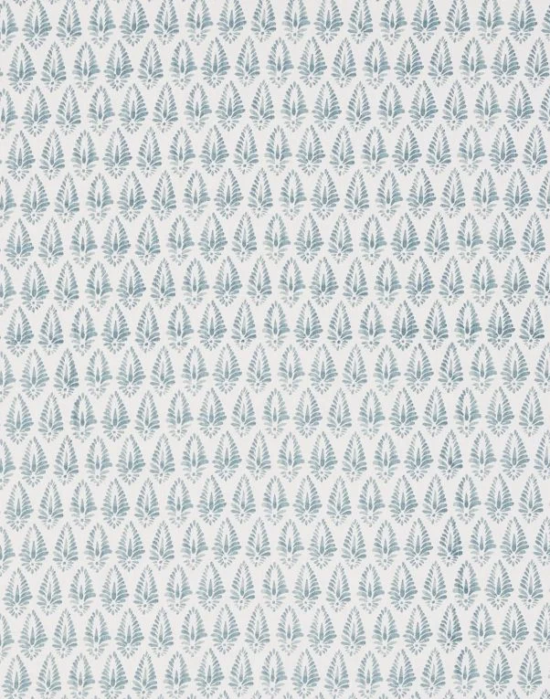 Agave | Ariel