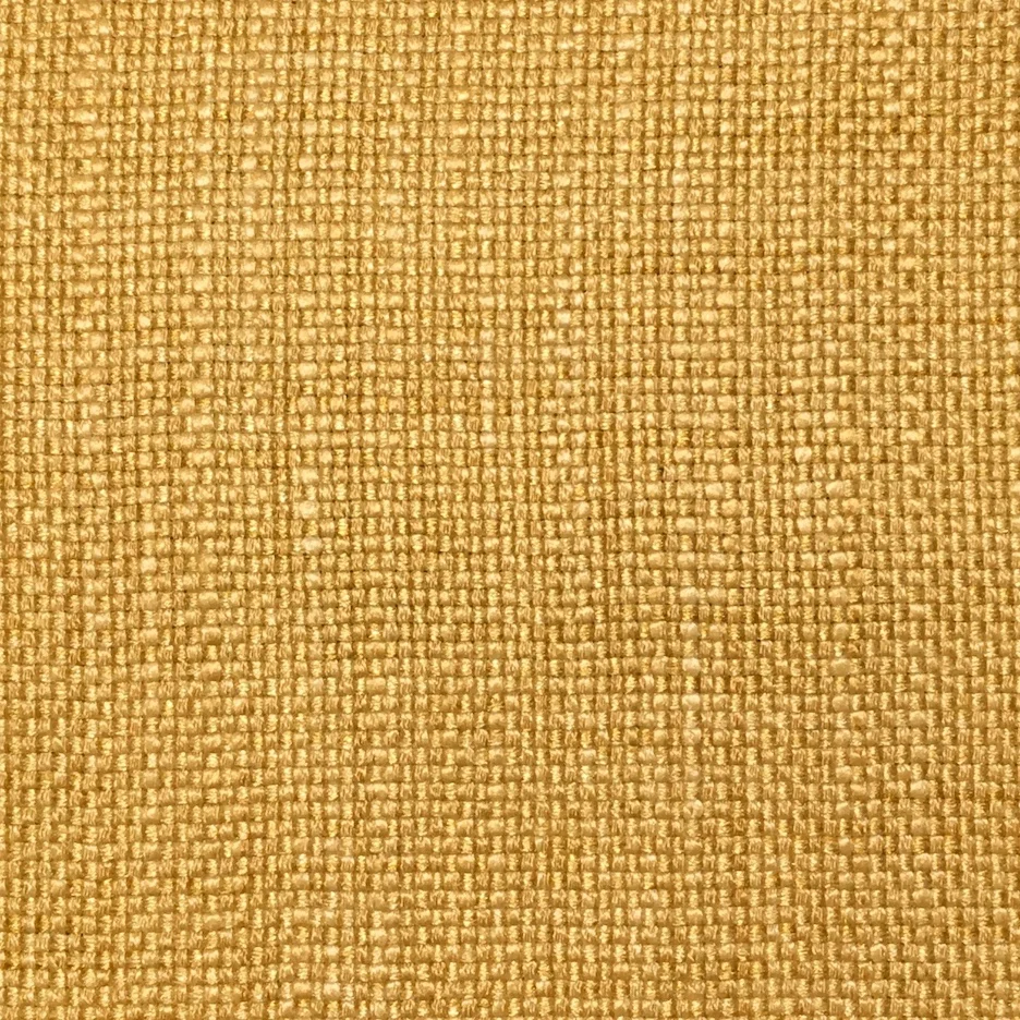 Zanzibar | Golden Rod