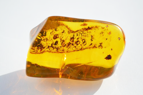 Amber.png