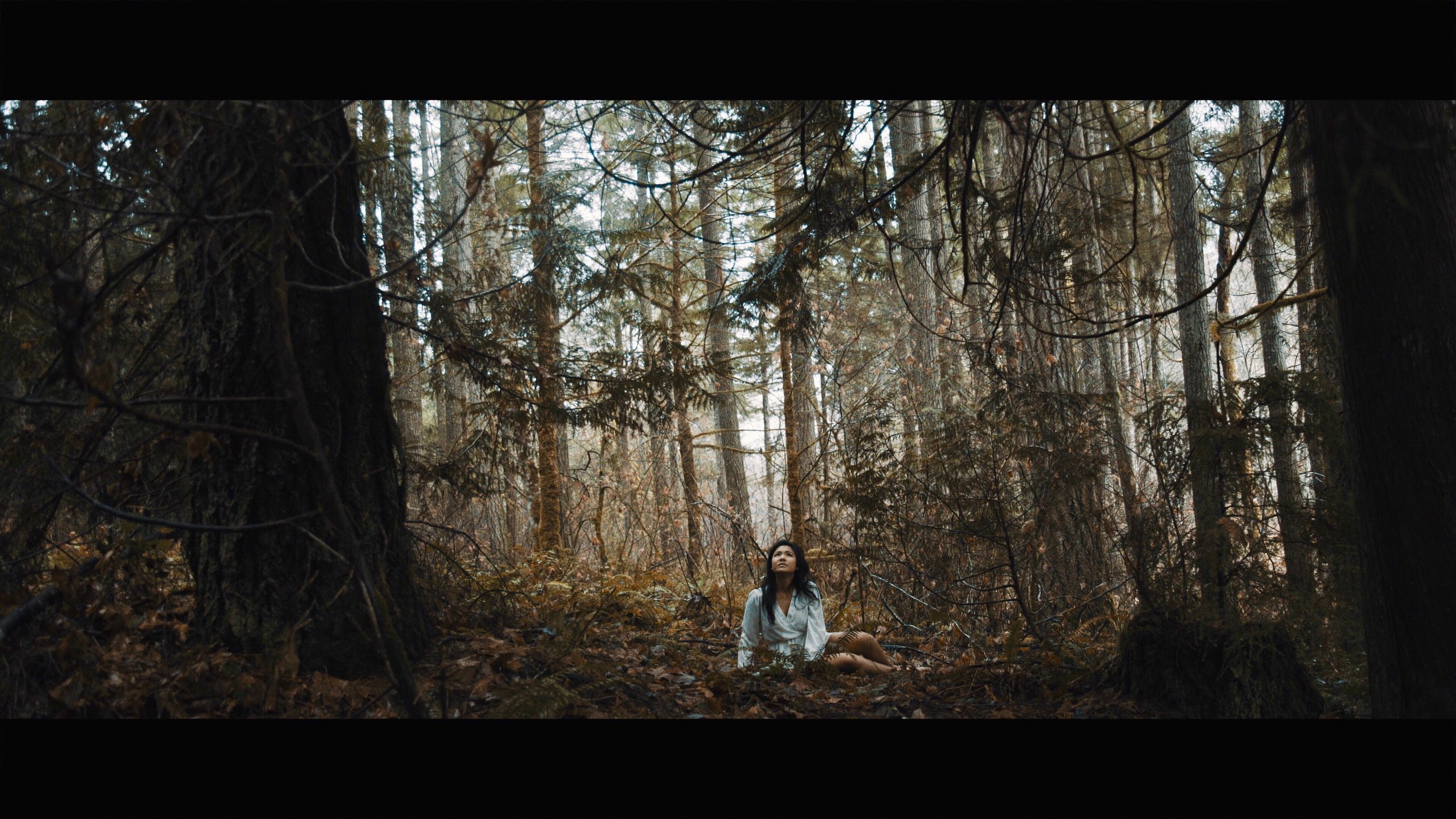 Still from 'Antlers" (2018)