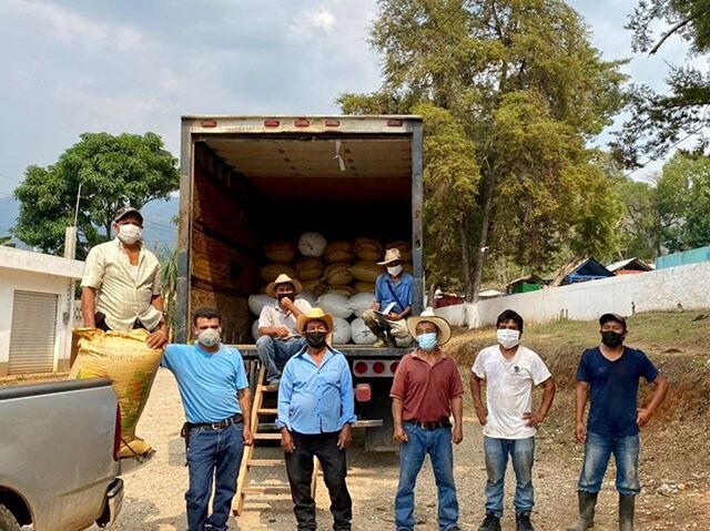 Hard-working bandidos from Asiast in Guatemala are loading up their coffee for delivery to be dry-milled soon. Yee-haw! 🤠😷