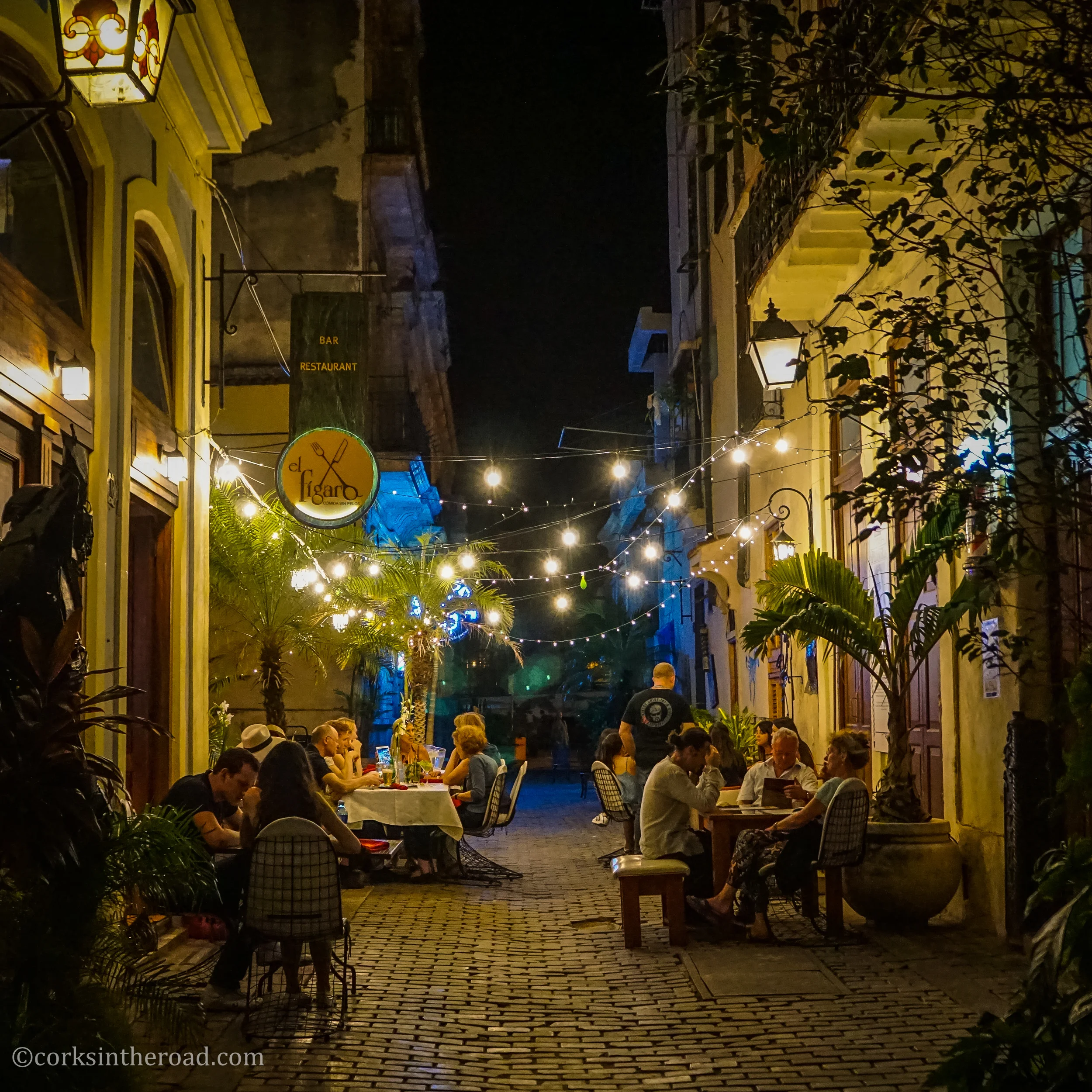 El Figaro provided a lovely setting for dinner.