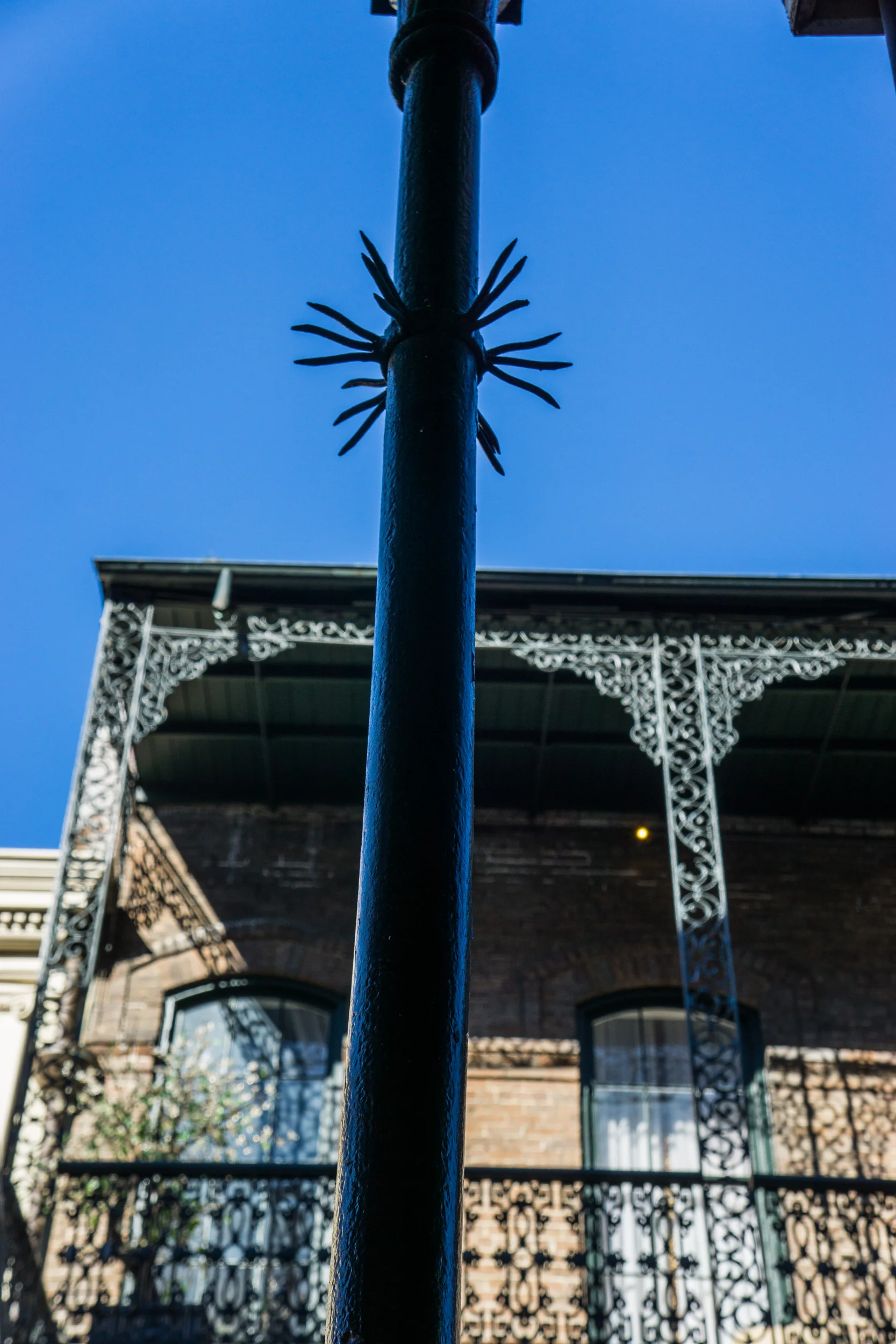 DSC04328.jpg