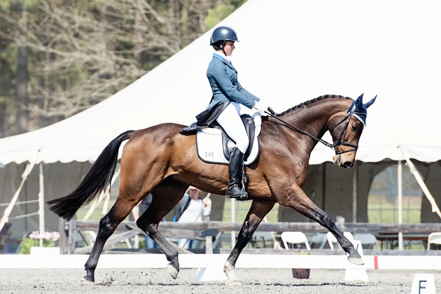 What are Equestrian Sports: A Thrilling Adventure