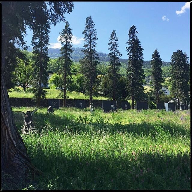 🌞🌸🦋🌿🌺🌞Exposition 📷✨&nbsp;&laquo;&nbsp;What is love?&nbsp;&raquo; de la photographe ✨📷✨suisse @brigittelustenberger ​ représentée par @christopheguyegalerie visible au parc de la Torma : Route de Morgins, 1870 @montheysans (CH)
Parking à pr