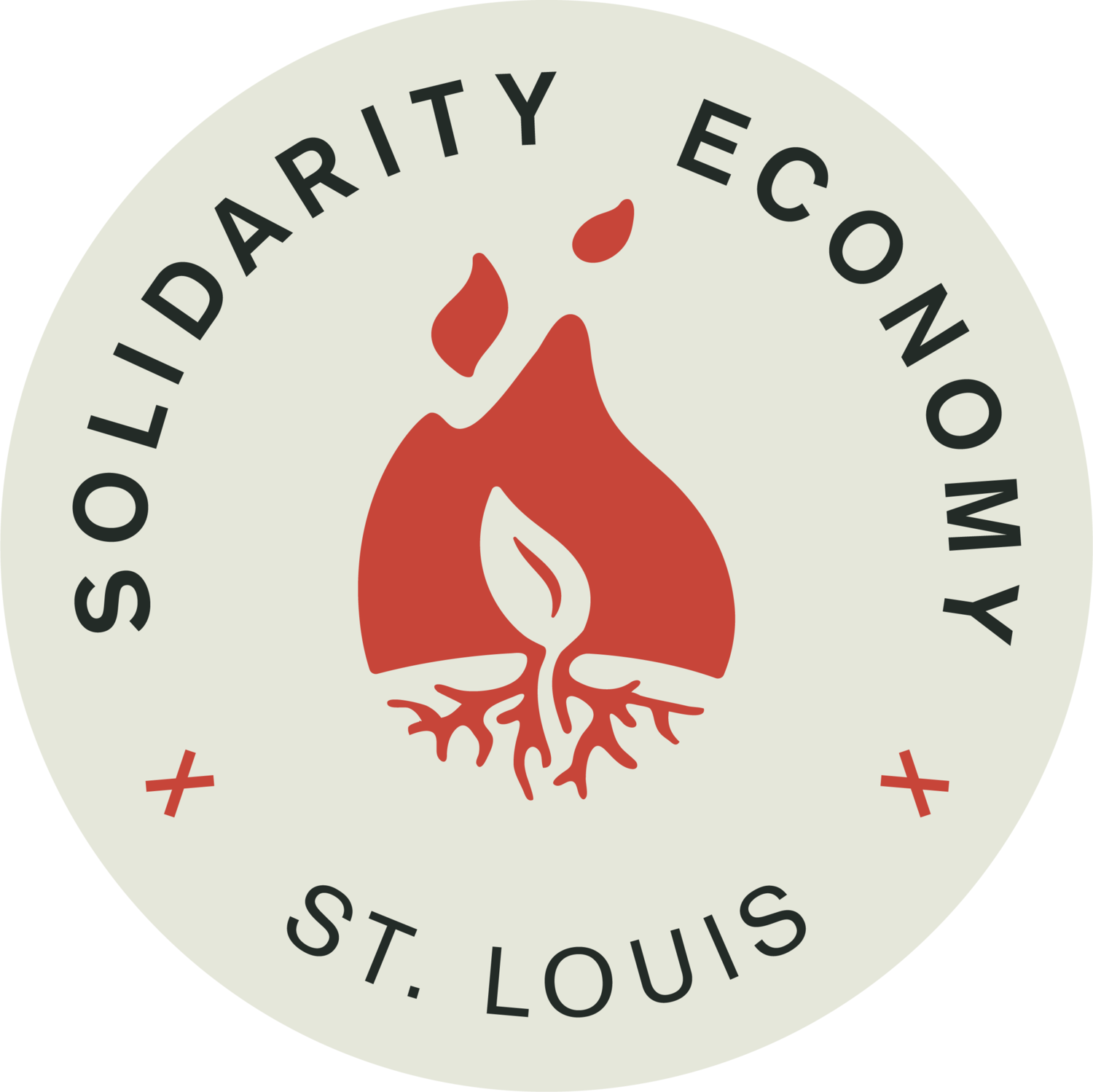 Solidarity Economy St. Louis