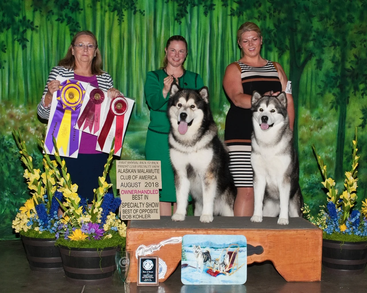 midas and amora BISS.jpeg