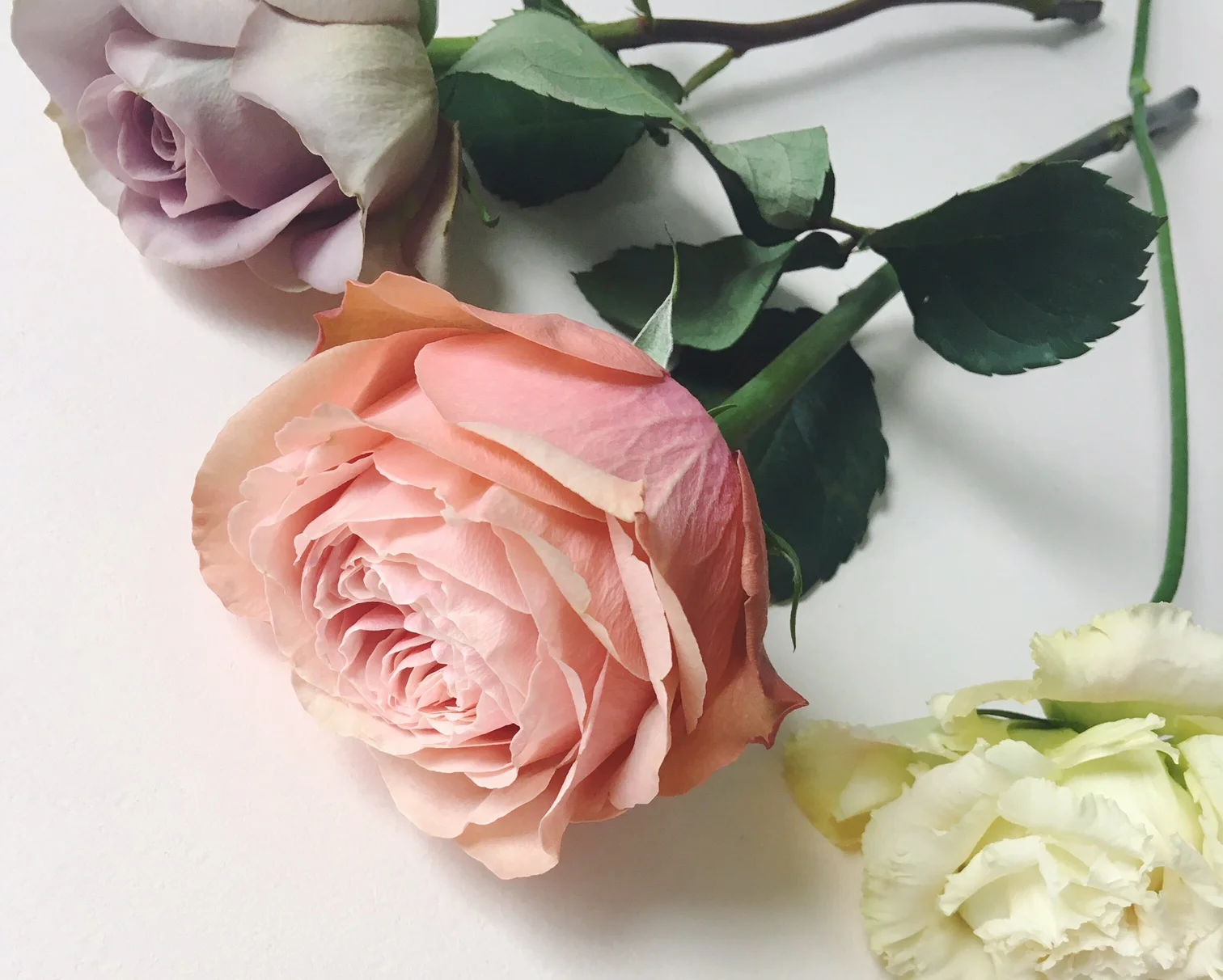 Spring Equinox Ritual for Growth