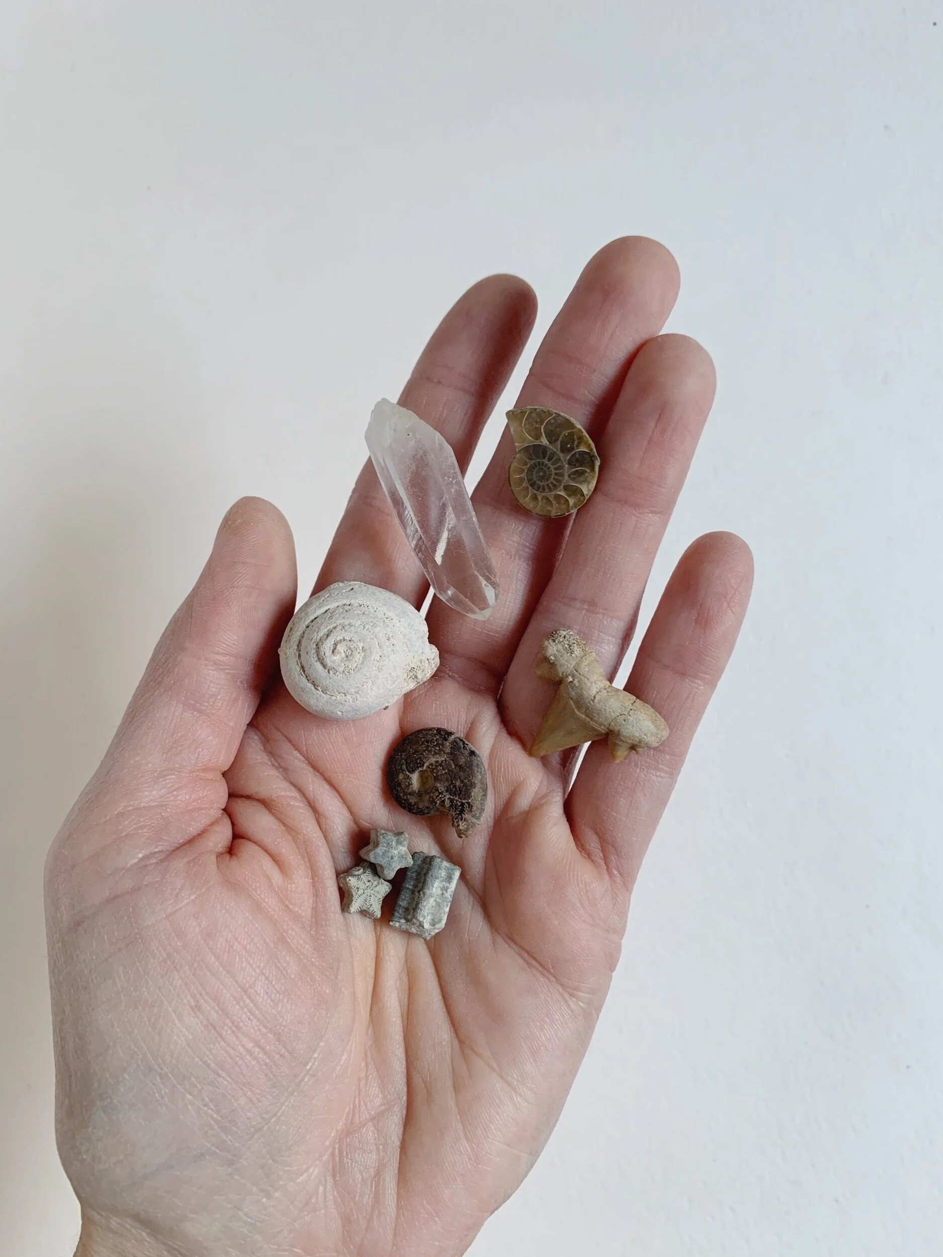 5CA43A21-C429-4525-9ACD-CEFC63A94F72