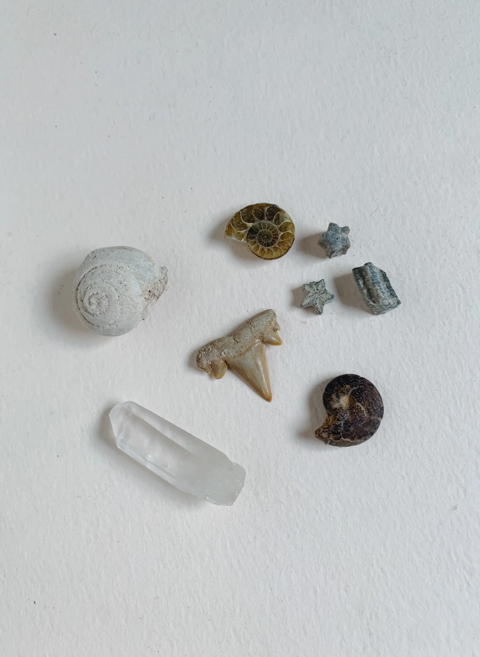 CC578597-AEA8-43DA-8D33-36624184A22C