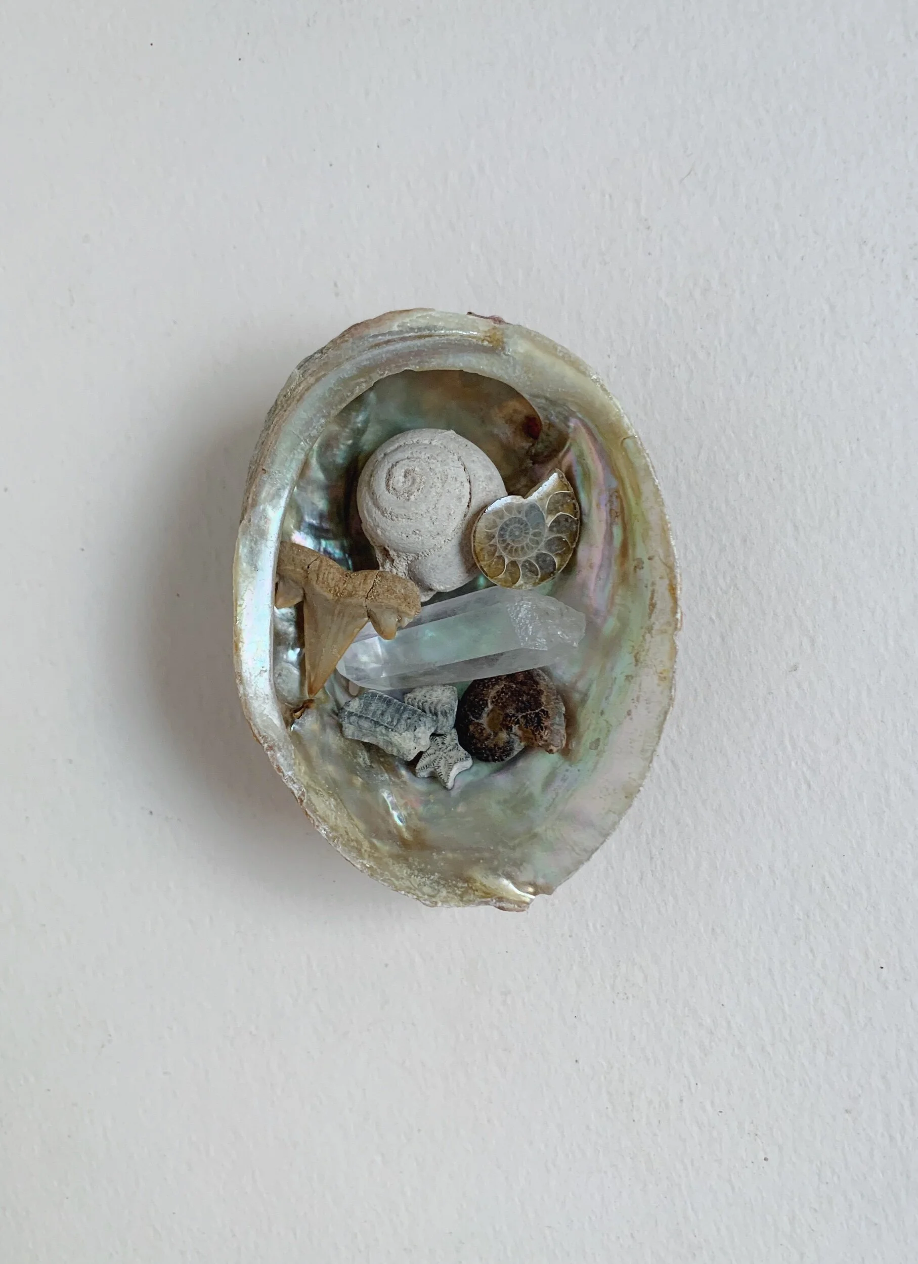 D208EE9D-3C75-48B9-9A1E-FF4F40DDC9F0