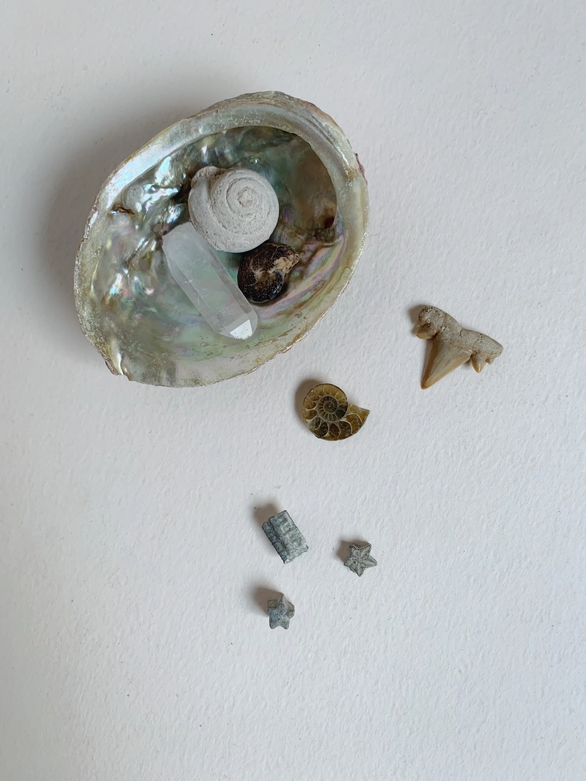 A49788D9-447B-4E23-BD6D-C668B15FE1FE