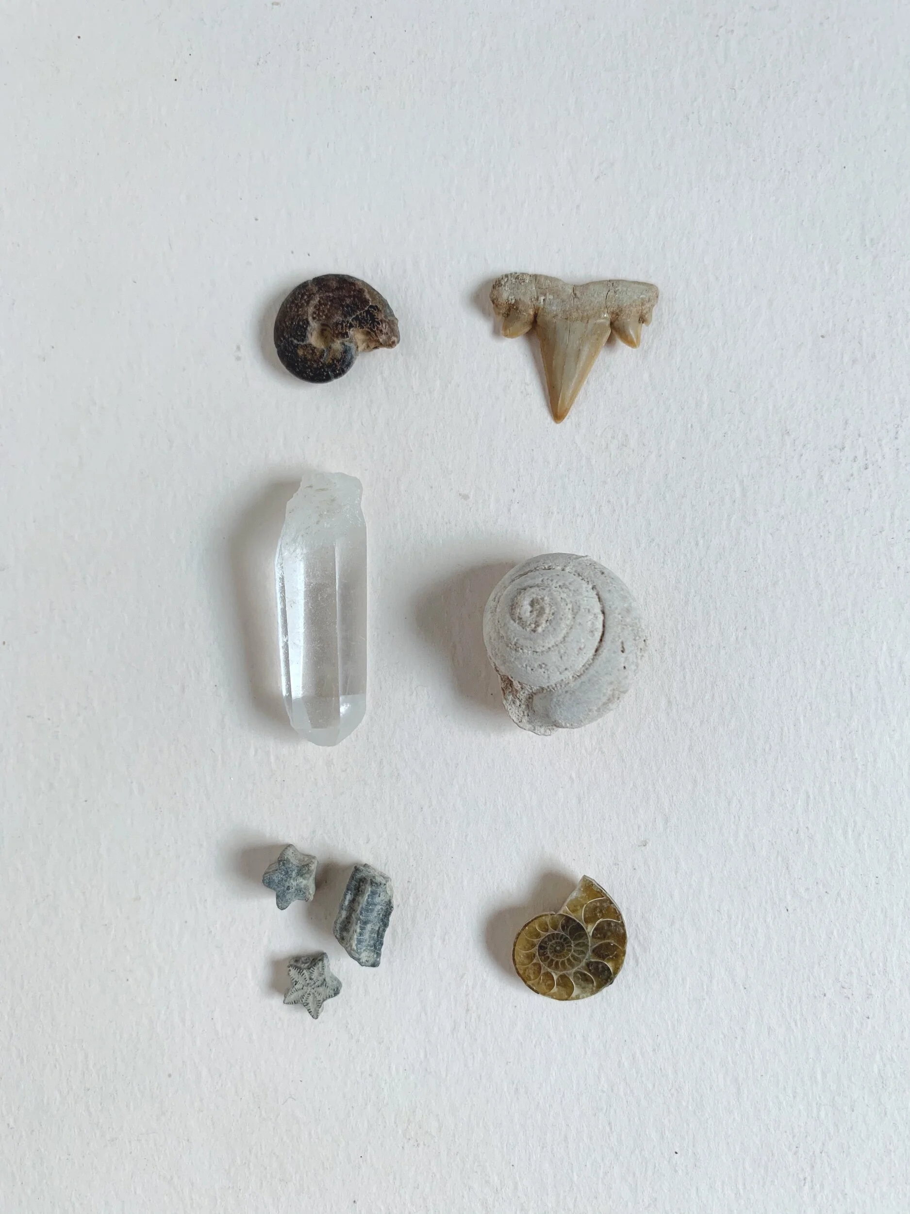 1EAA86FD-7D3D-4C73-B3B9-7FA949F1FBBA