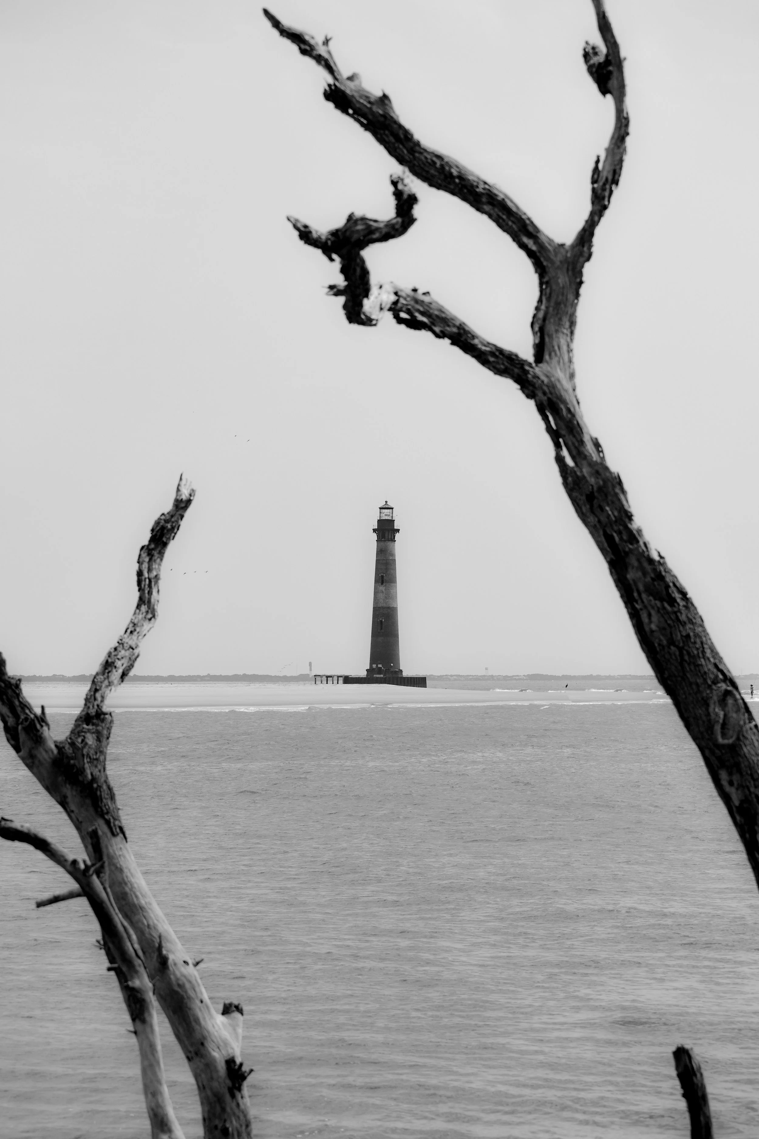 DSC_0203.jpg