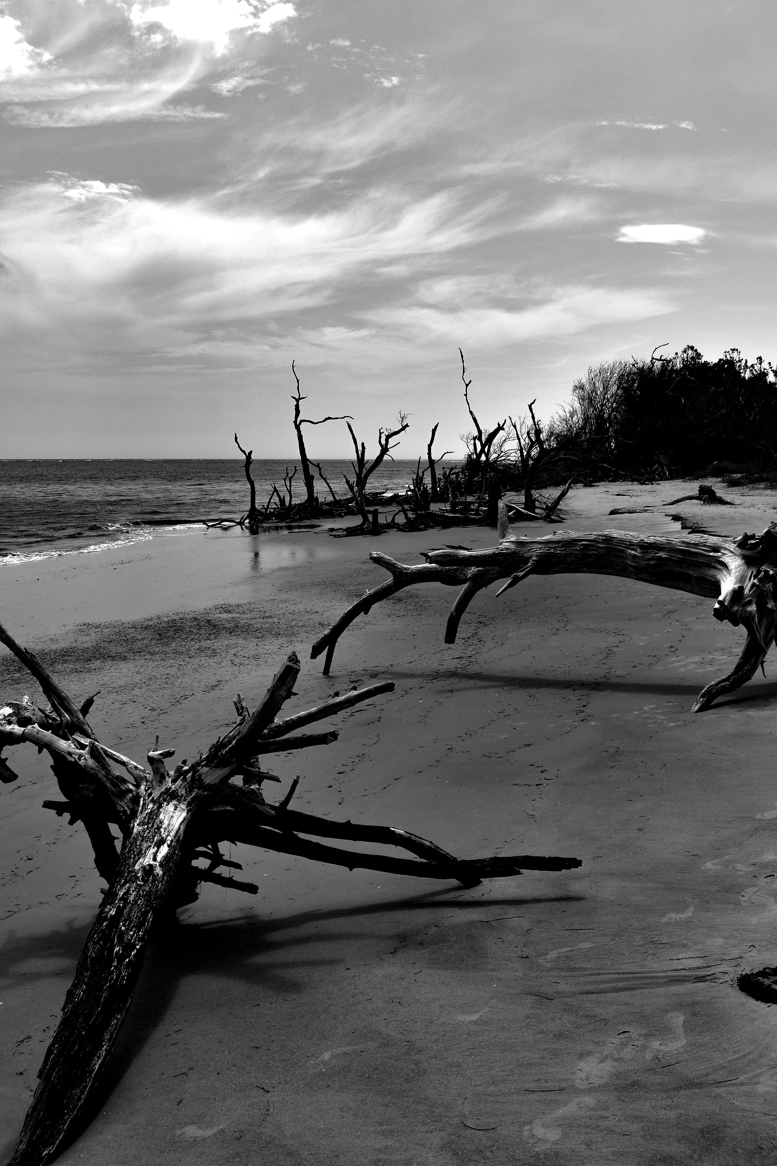 Folly Beach 2