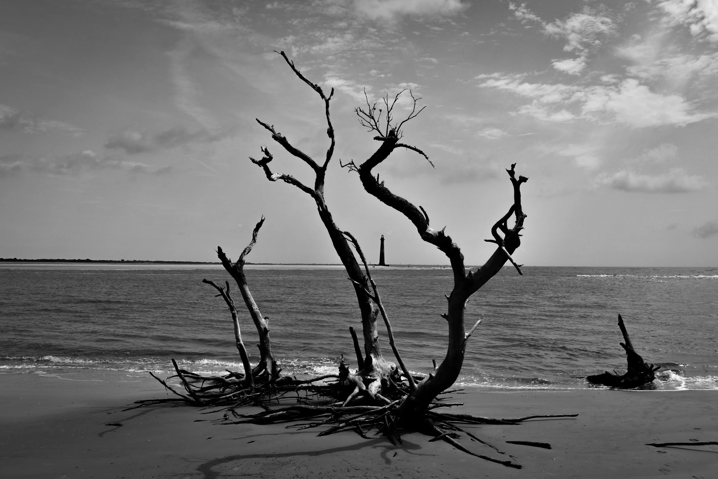 DSC_0247.jpg