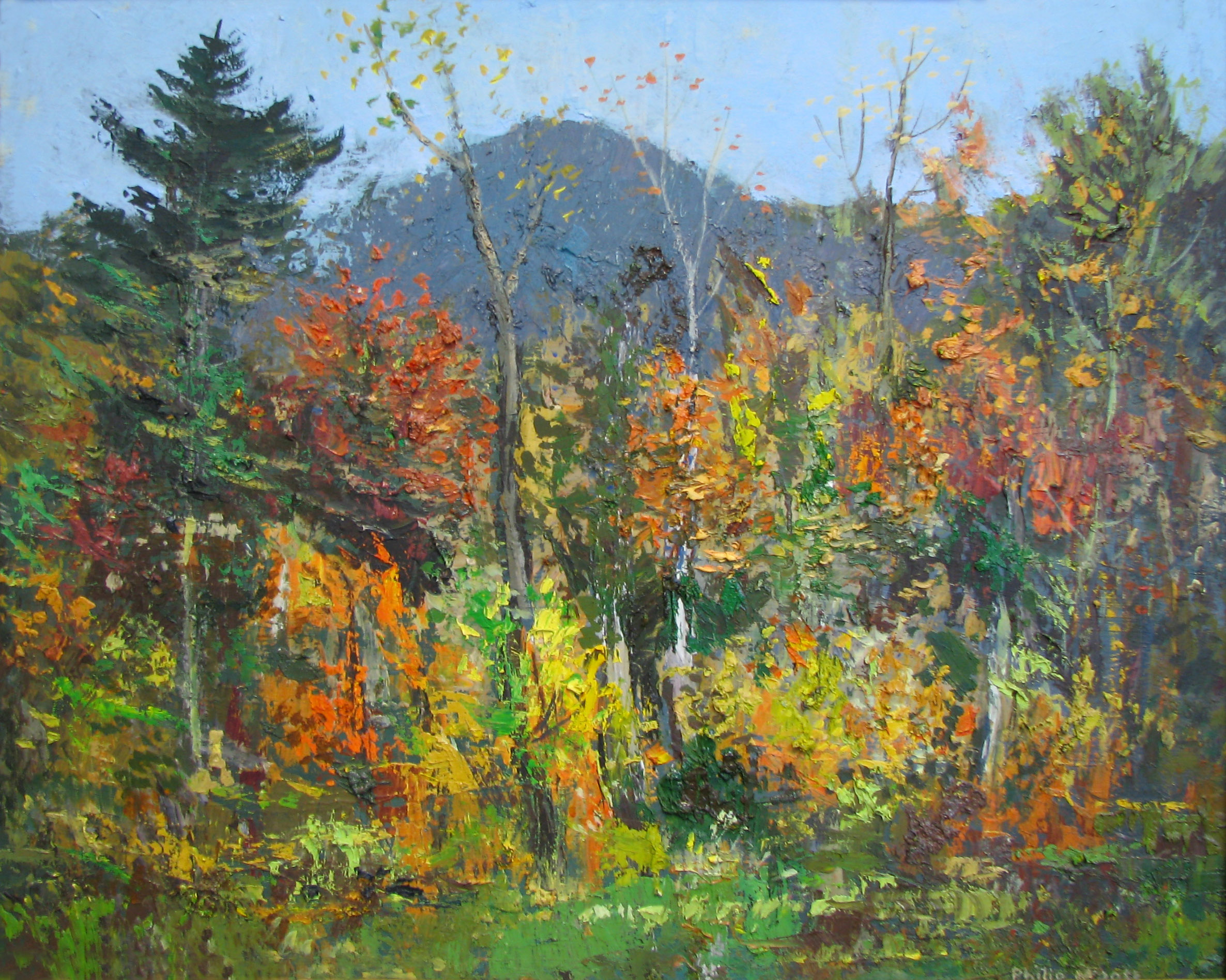 Fall at Grandfather SOLD