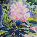 Hemlock and Rhododendron SOLD