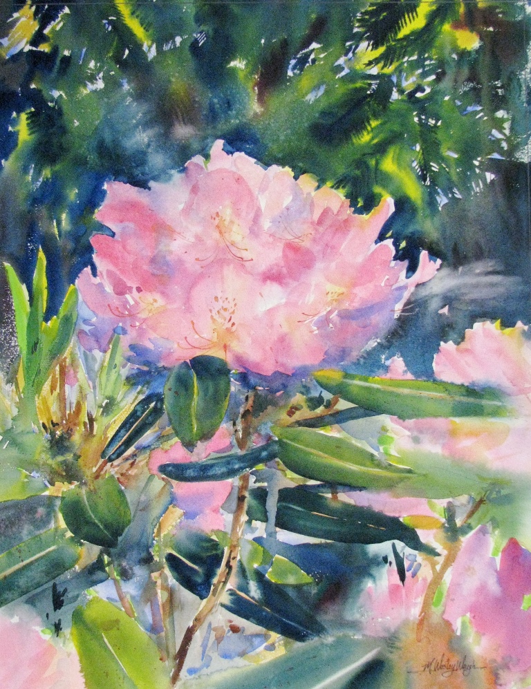 Rhododendron SOLD
