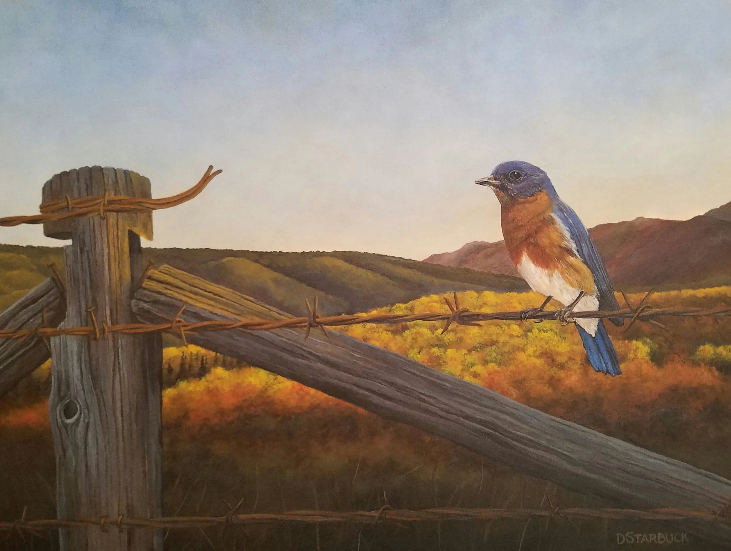 "Blue Ridge Empty Nester" by David Starbuck