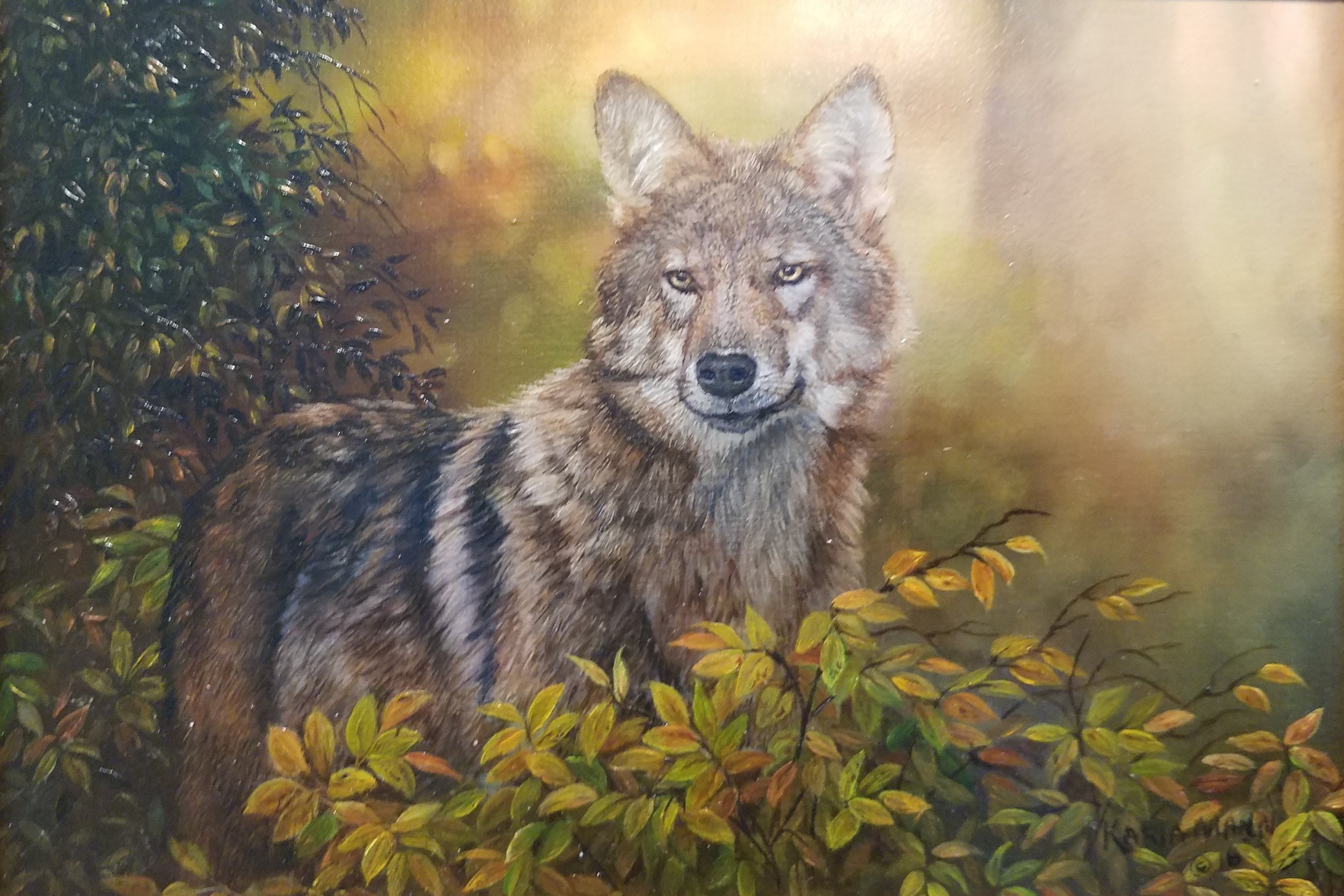 Autumn Coyote SOLD