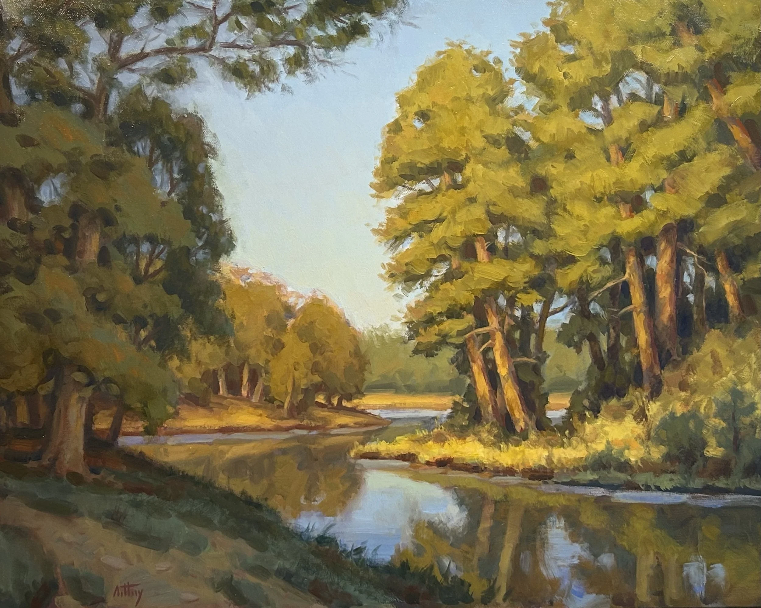 Late Summer Pines by Anthony Bowes