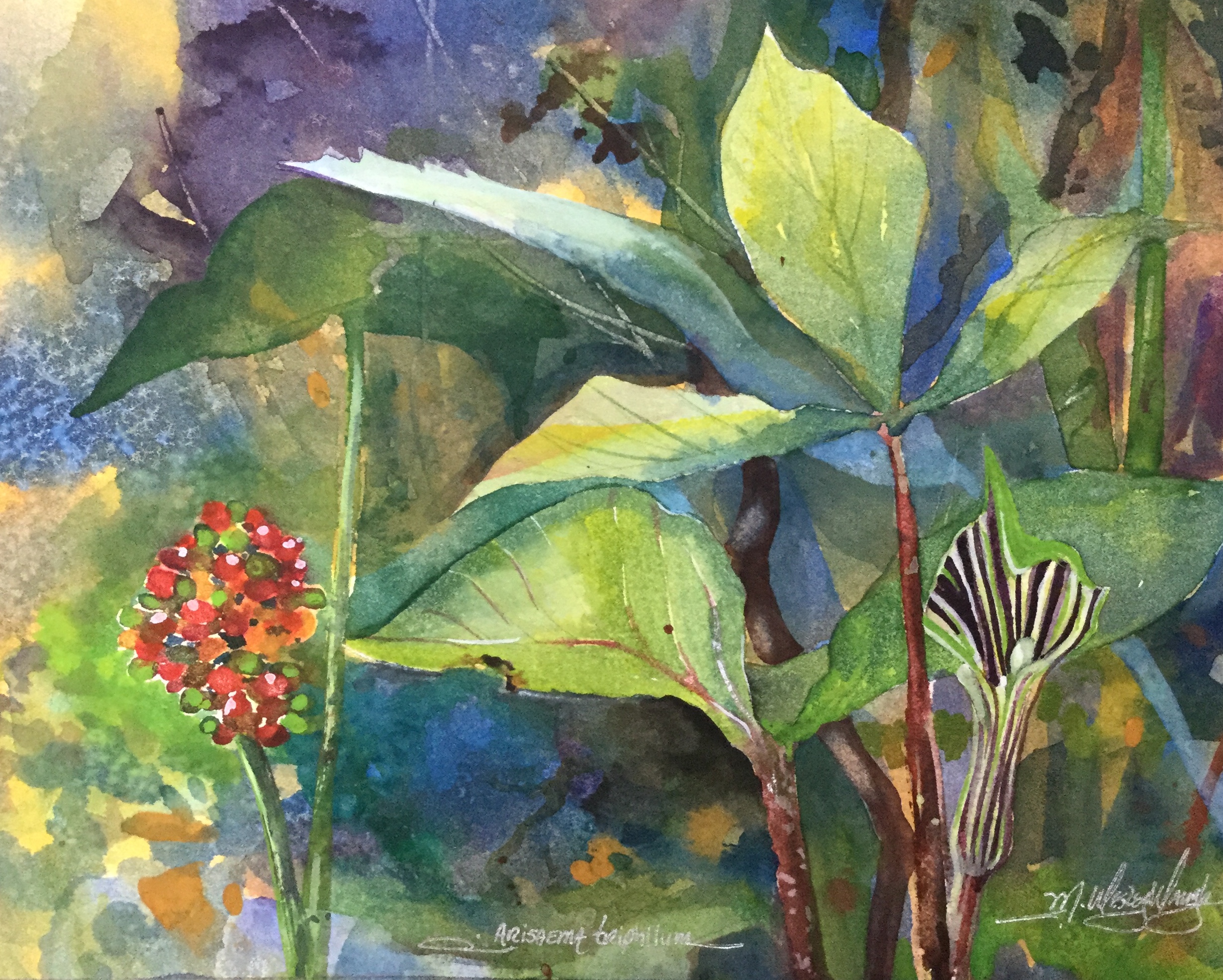 Jack in the Pulpit SOLD