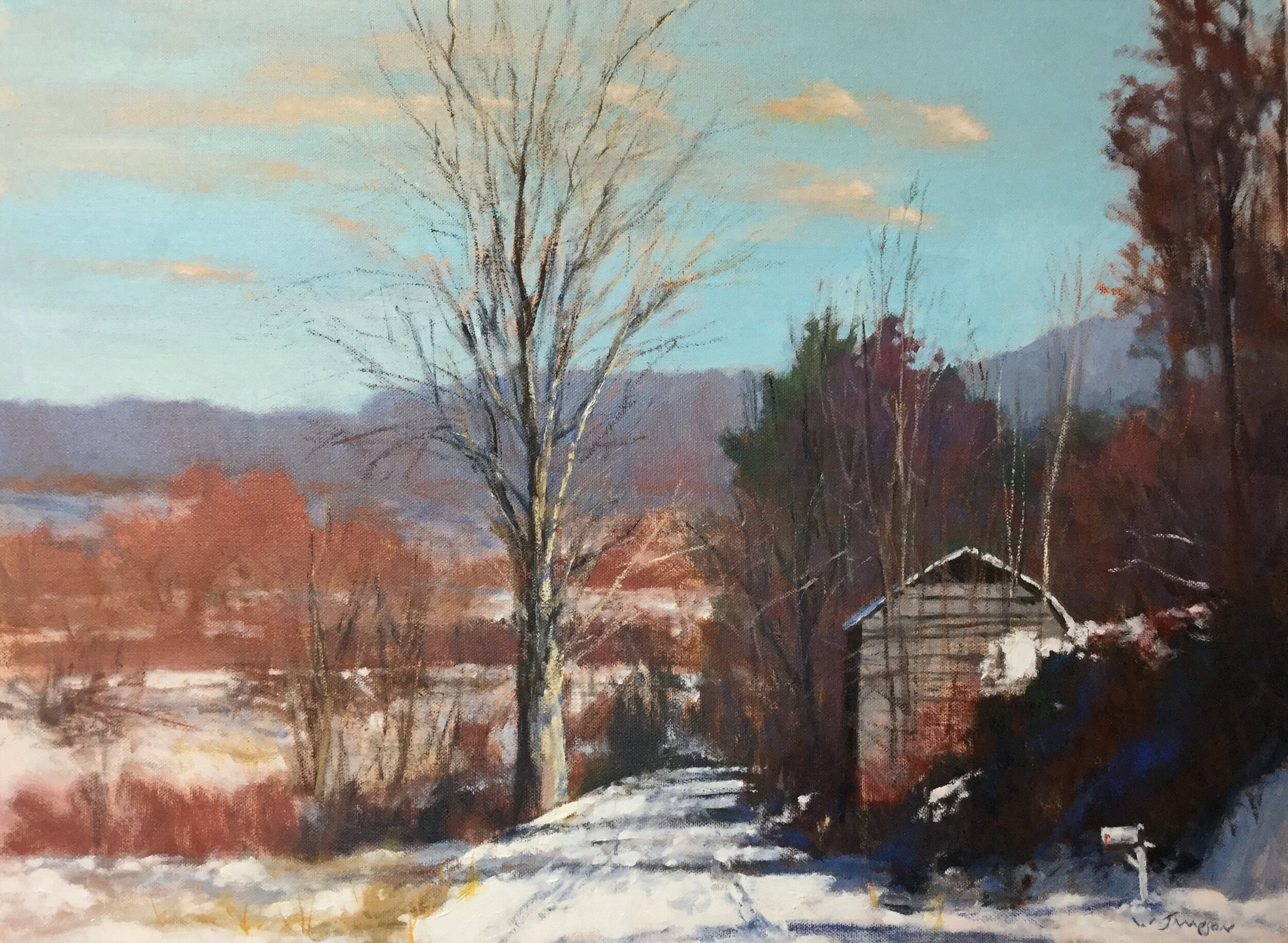 Early December Snow by Bill Jameson