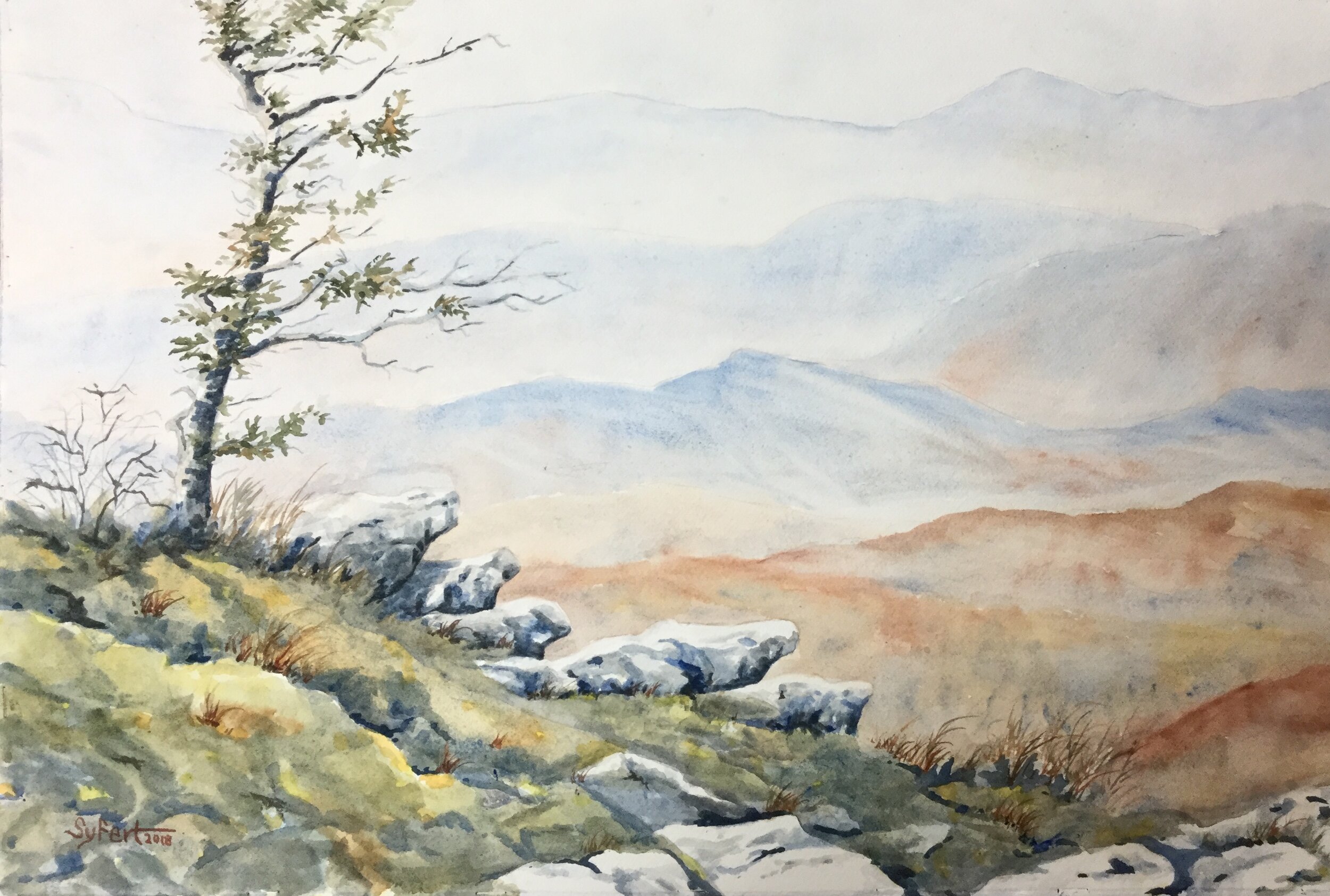 High Country from Grandfather by Dave Syfert