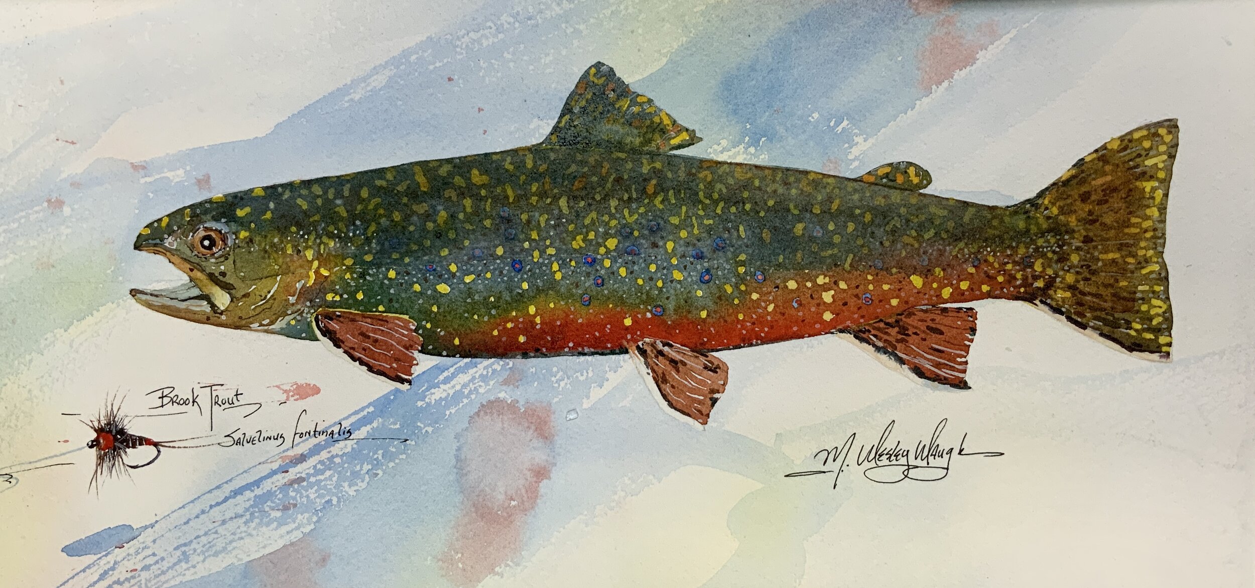 Brook Trout with Nymph SOLD
