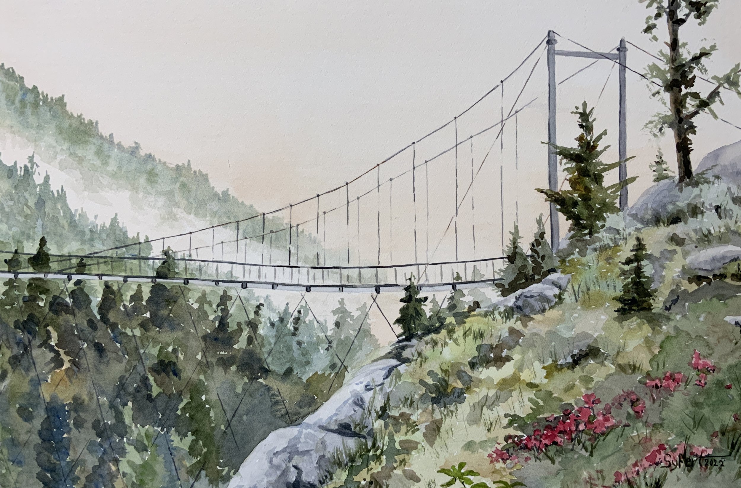 Bridge Atop Grandfather Mountain 