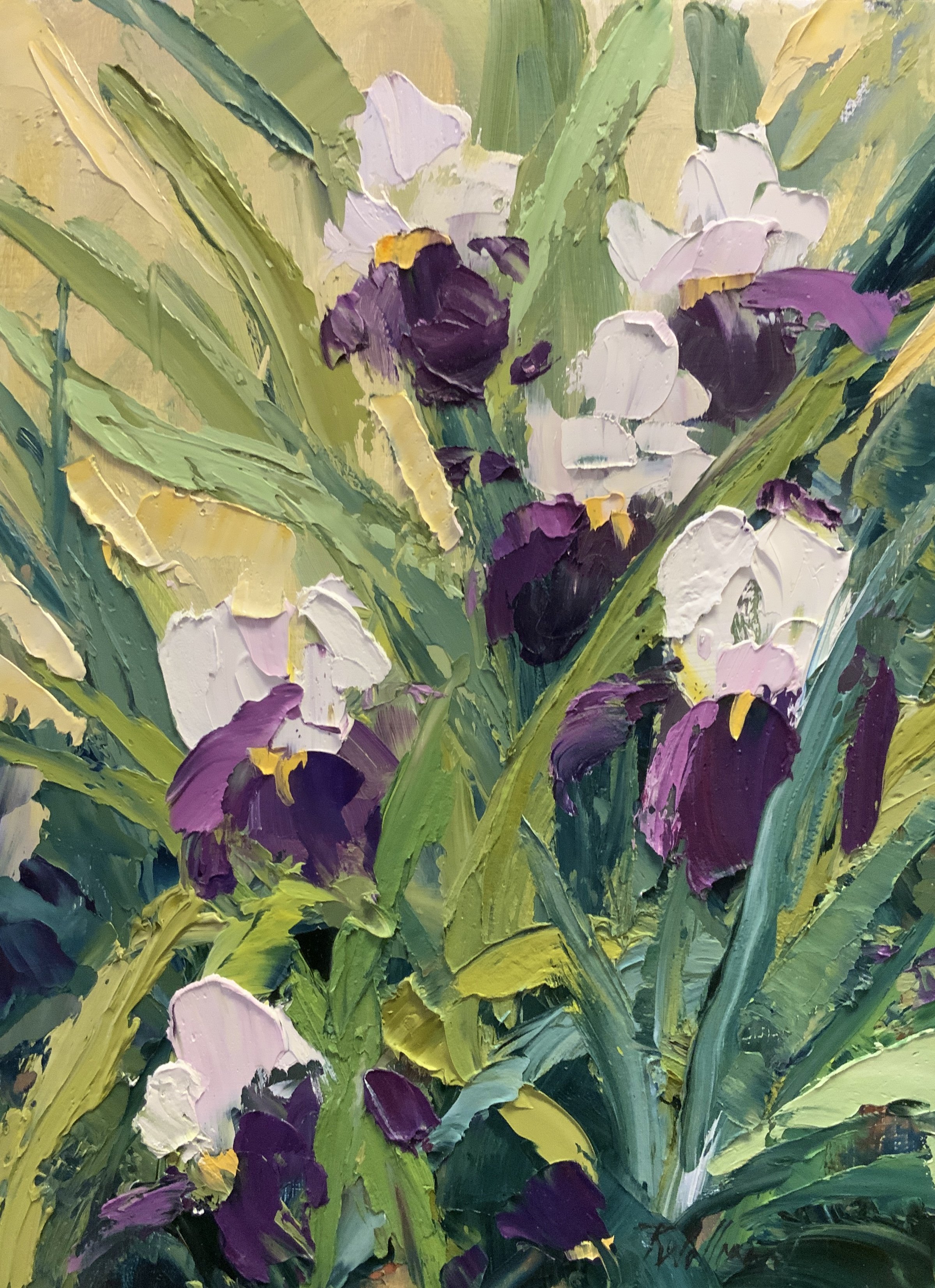 Heirloom Irises SOLD